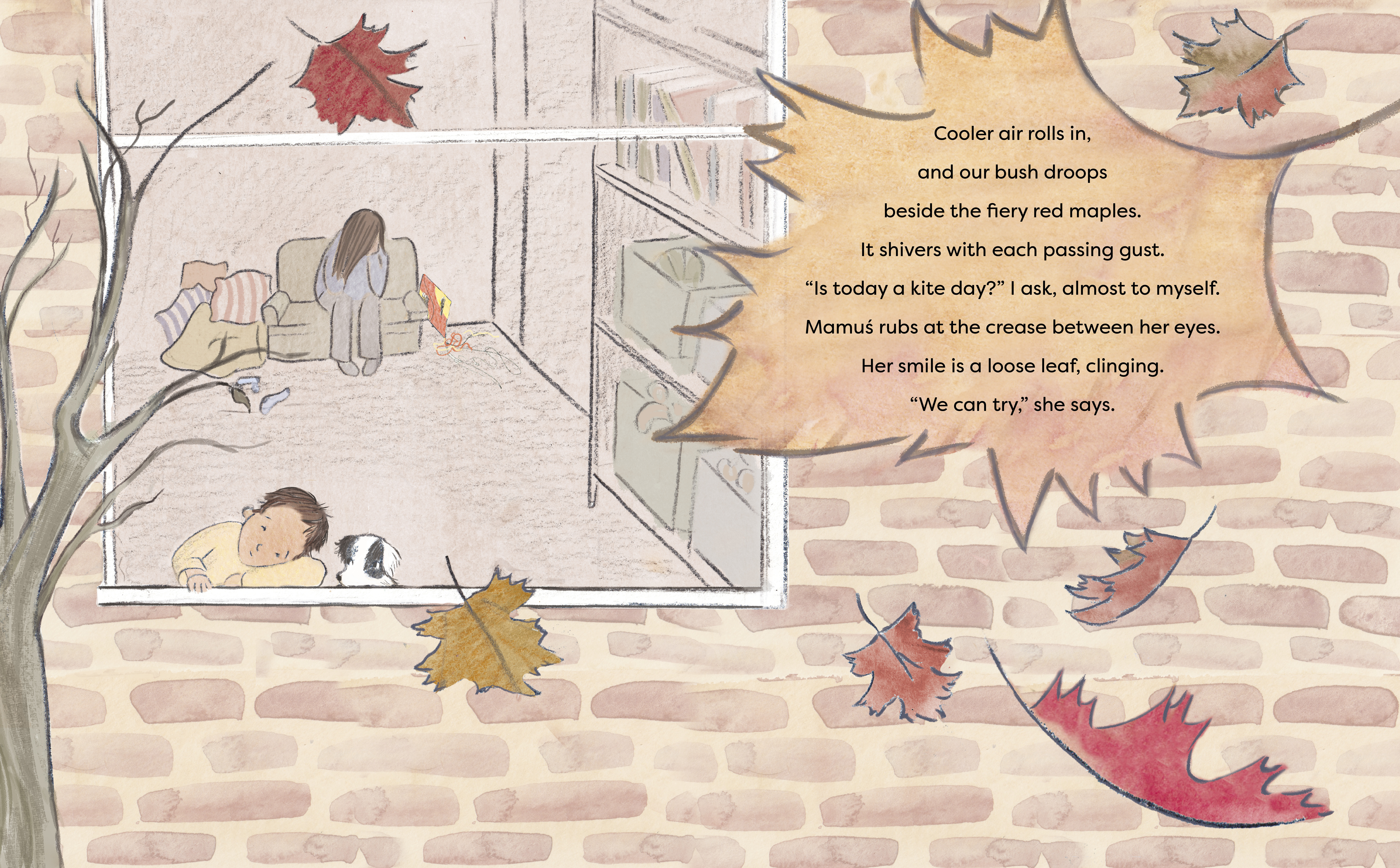 additional book photo