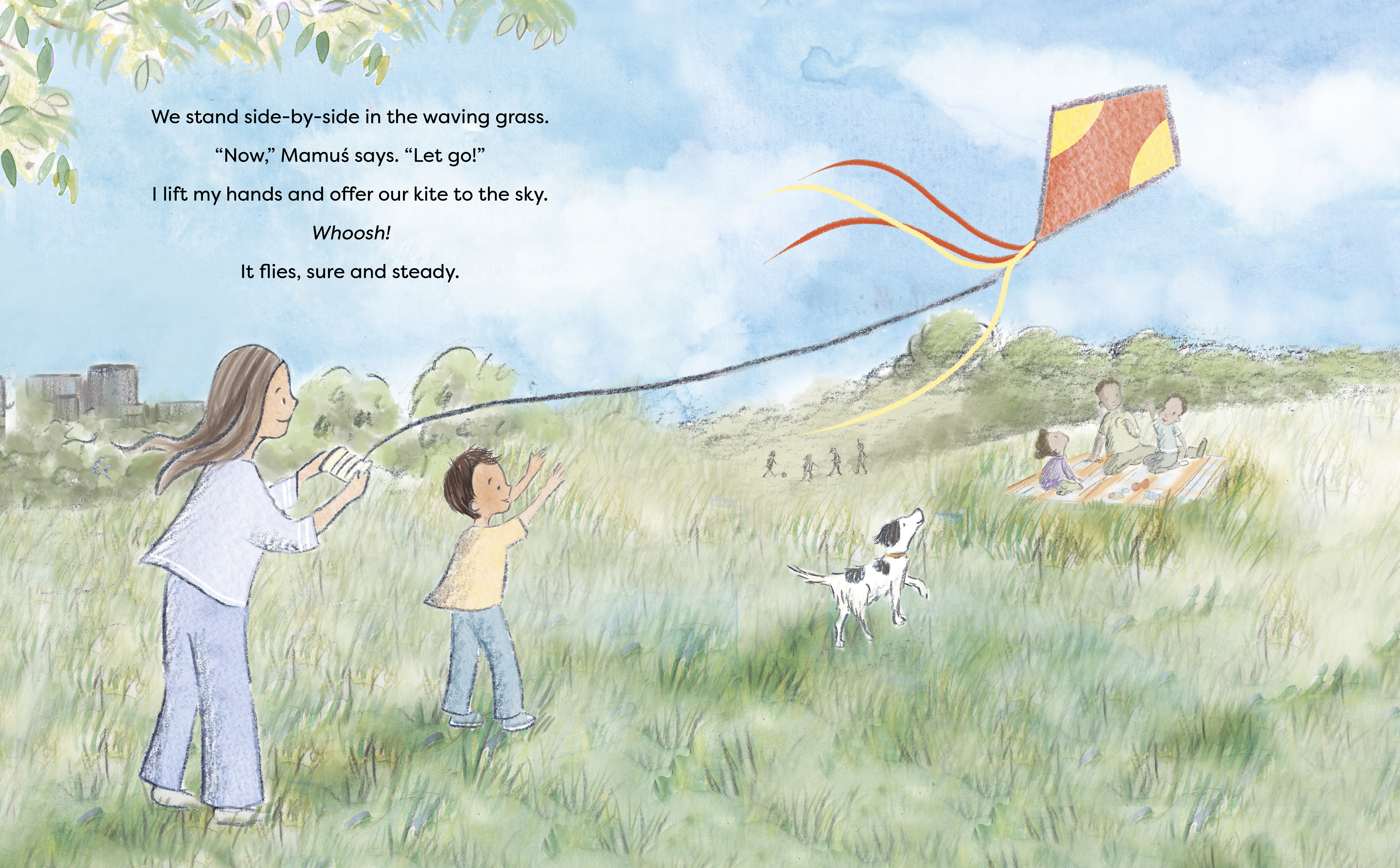 additional book photo