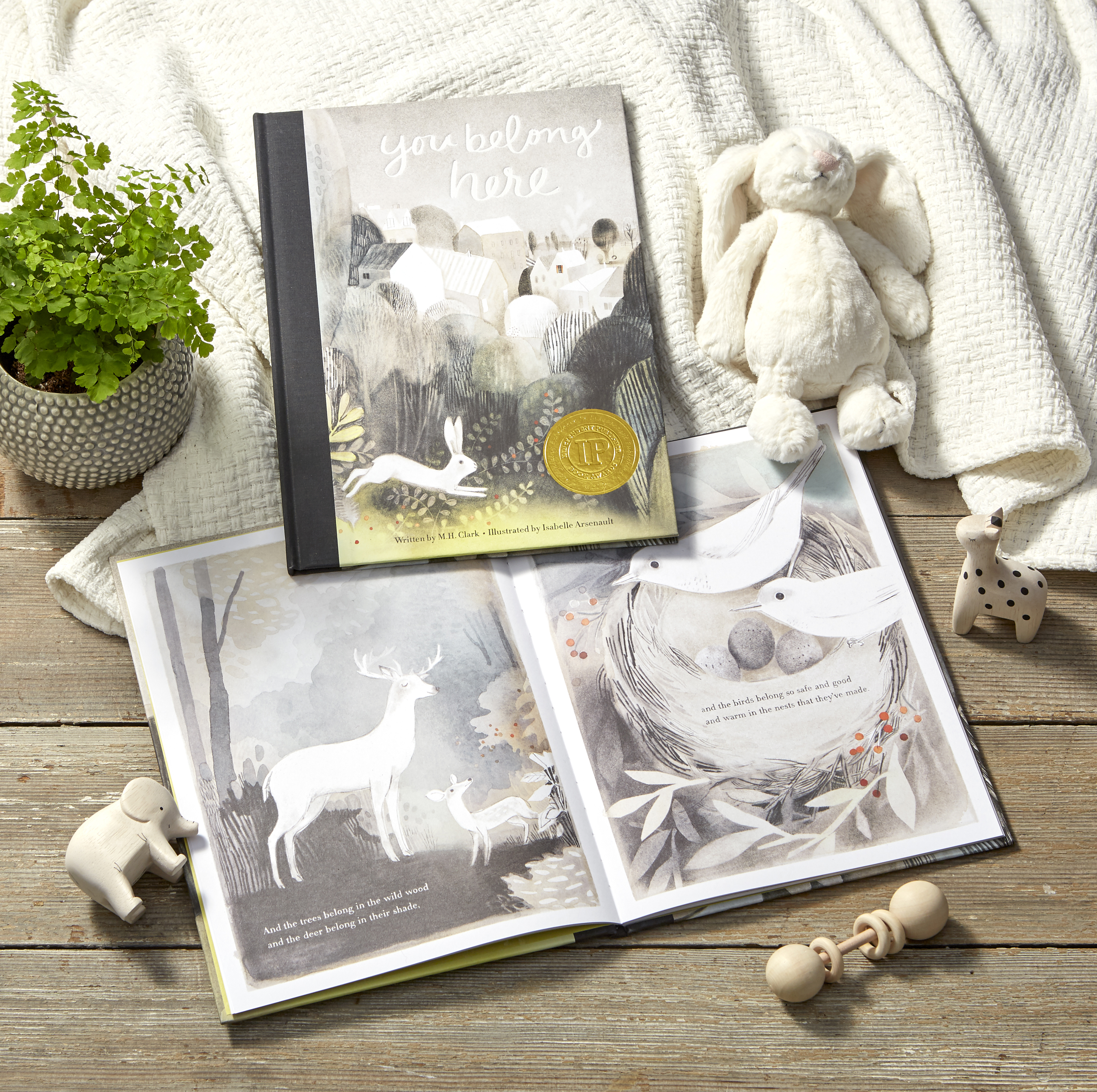 additional book photo