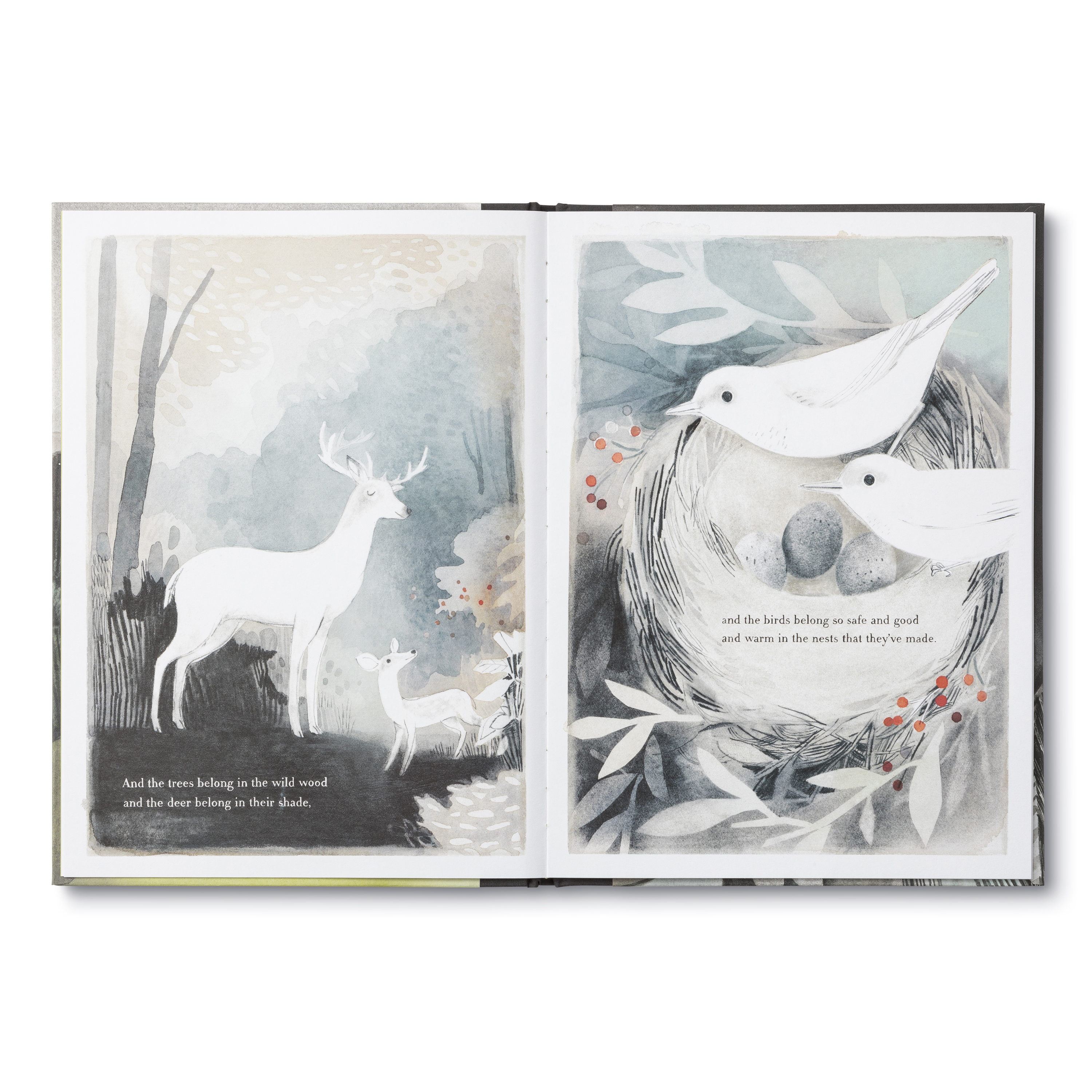 additional book photo