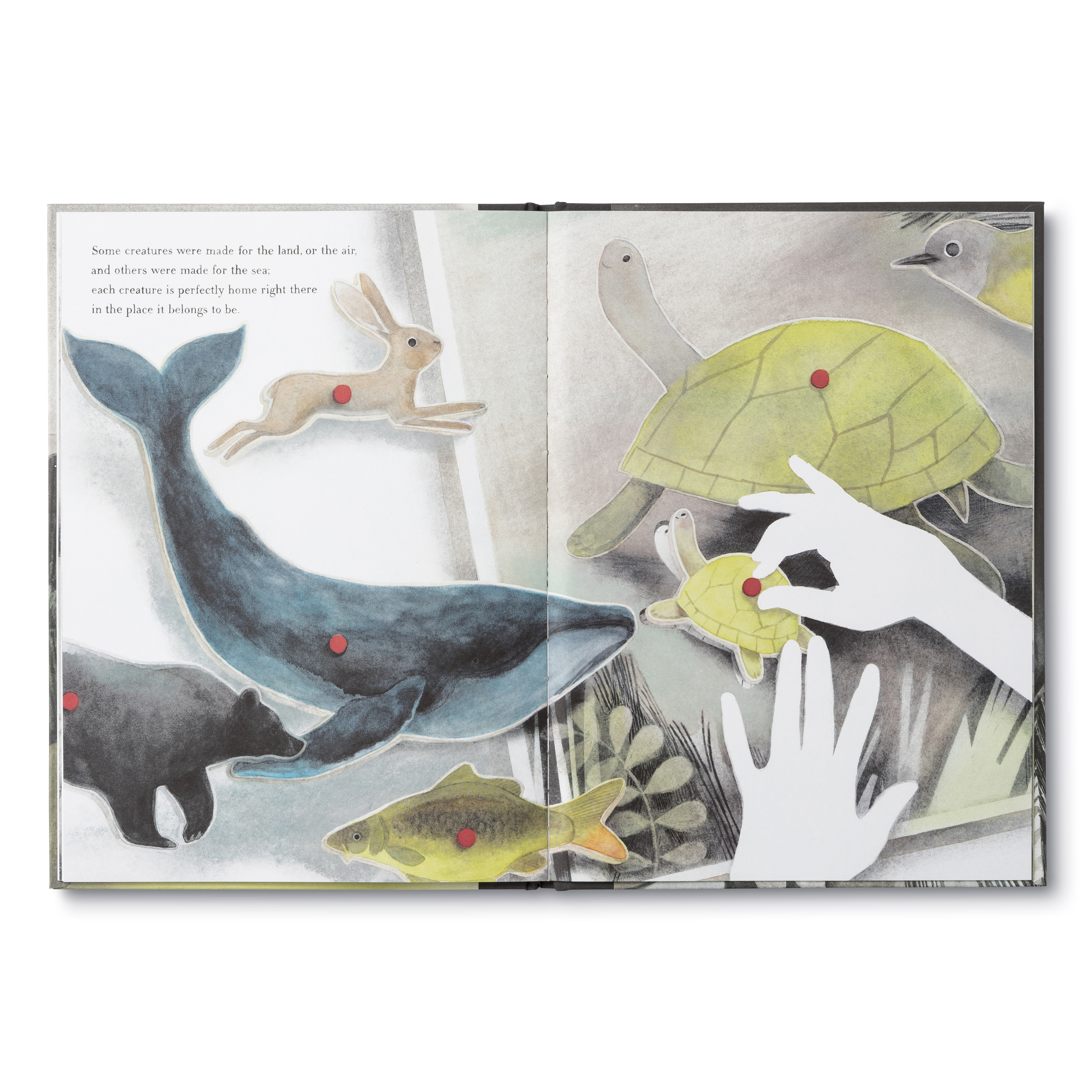 additional book photo
