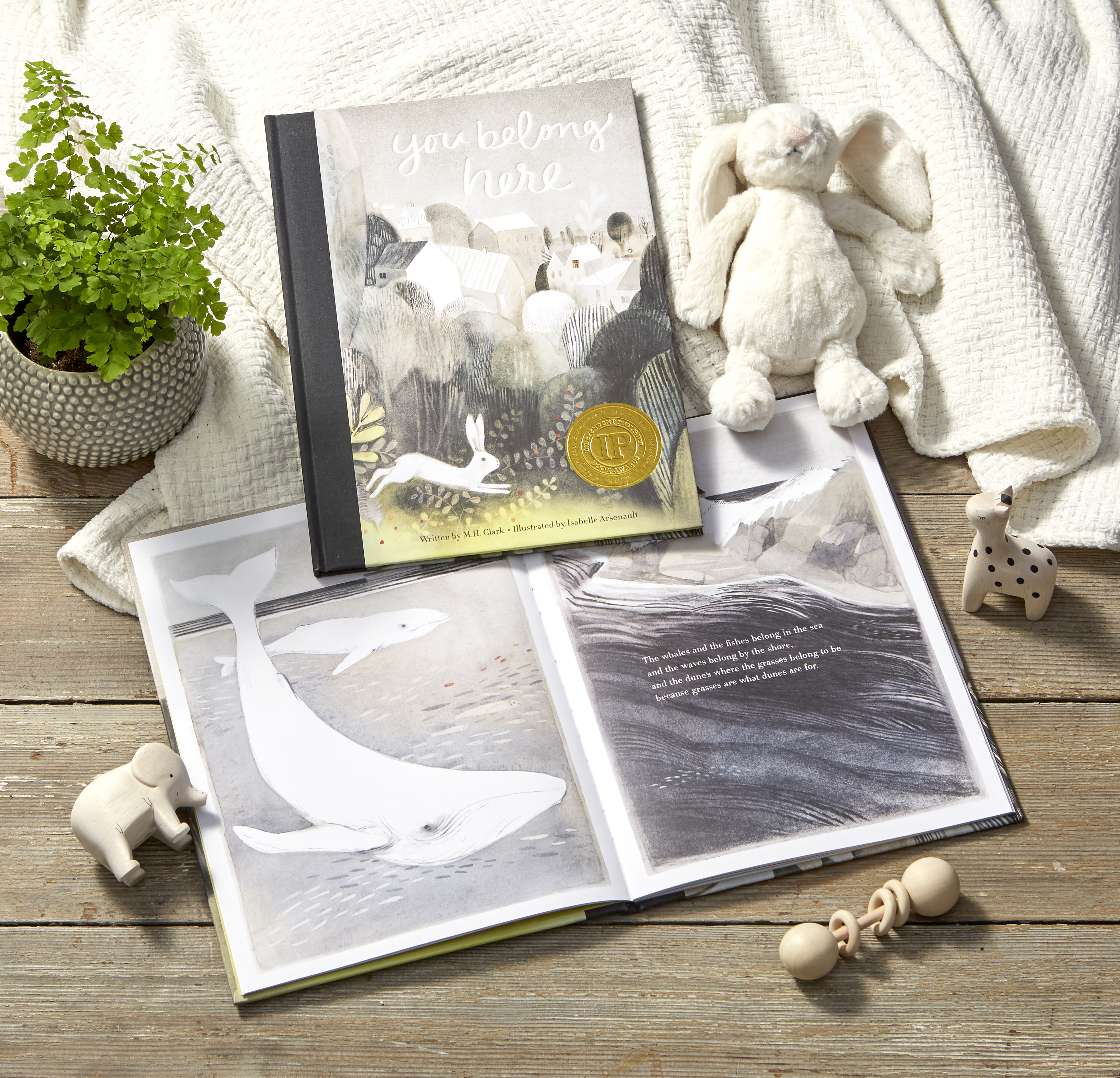 additional book photo