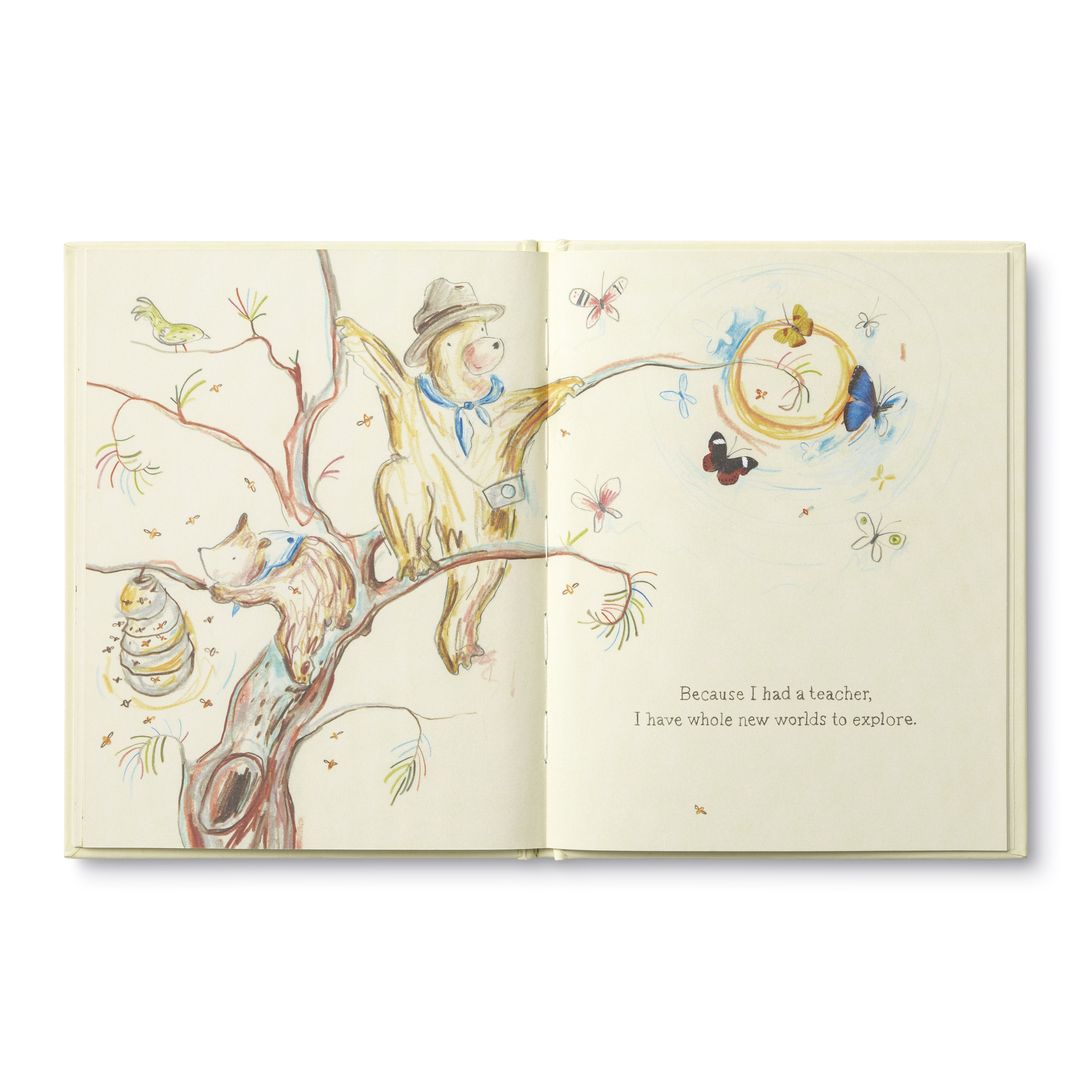additional book photo