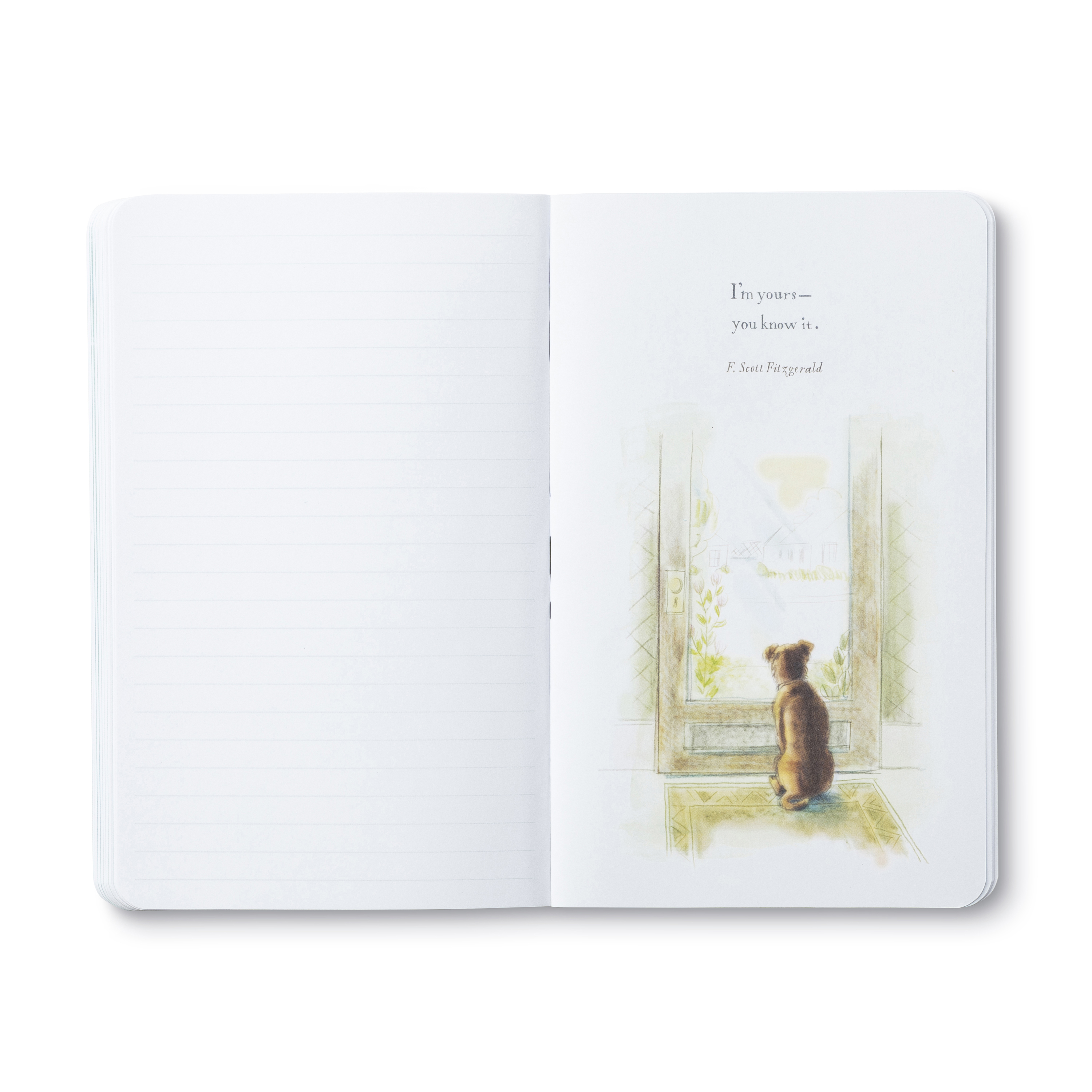 additional book photo