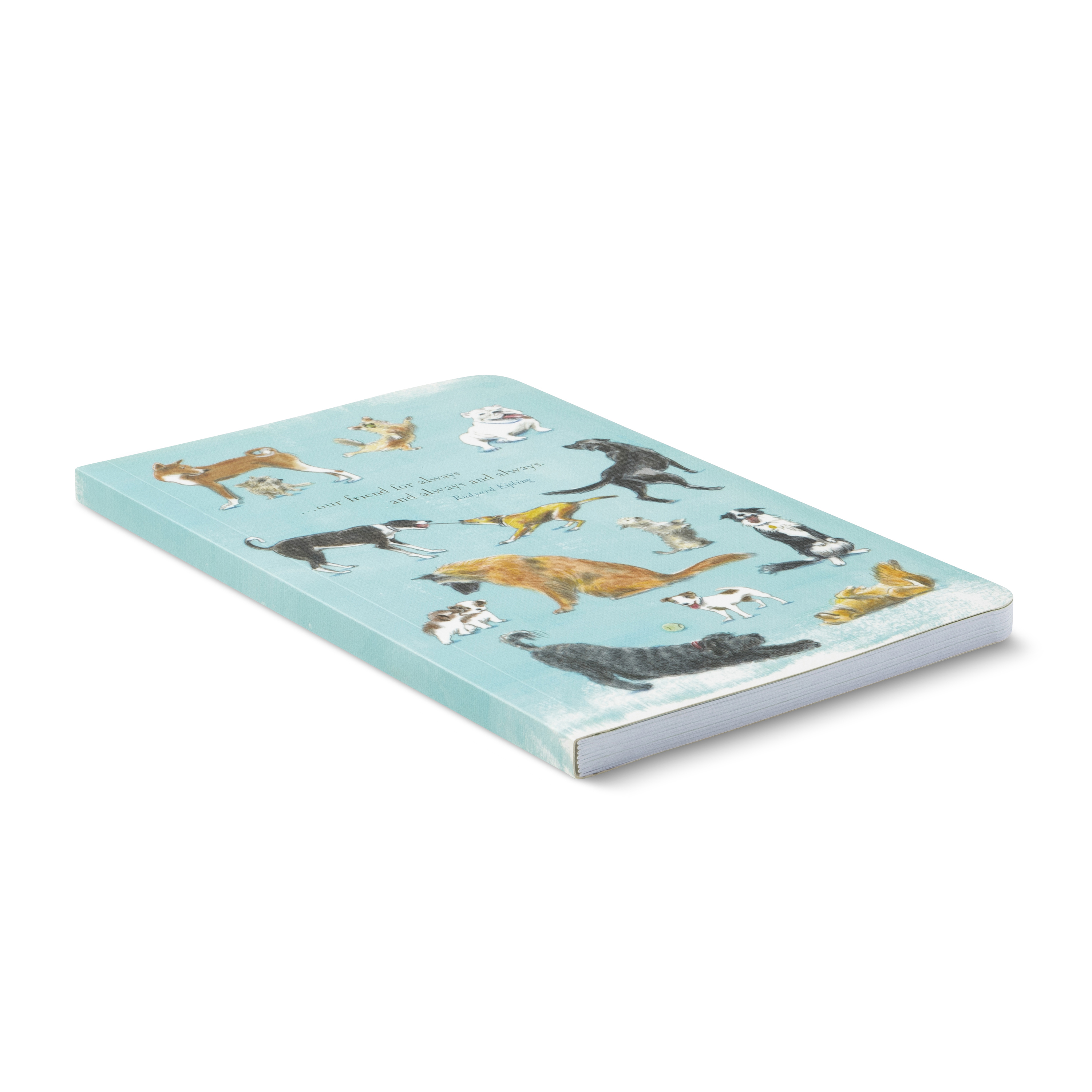additional book photo