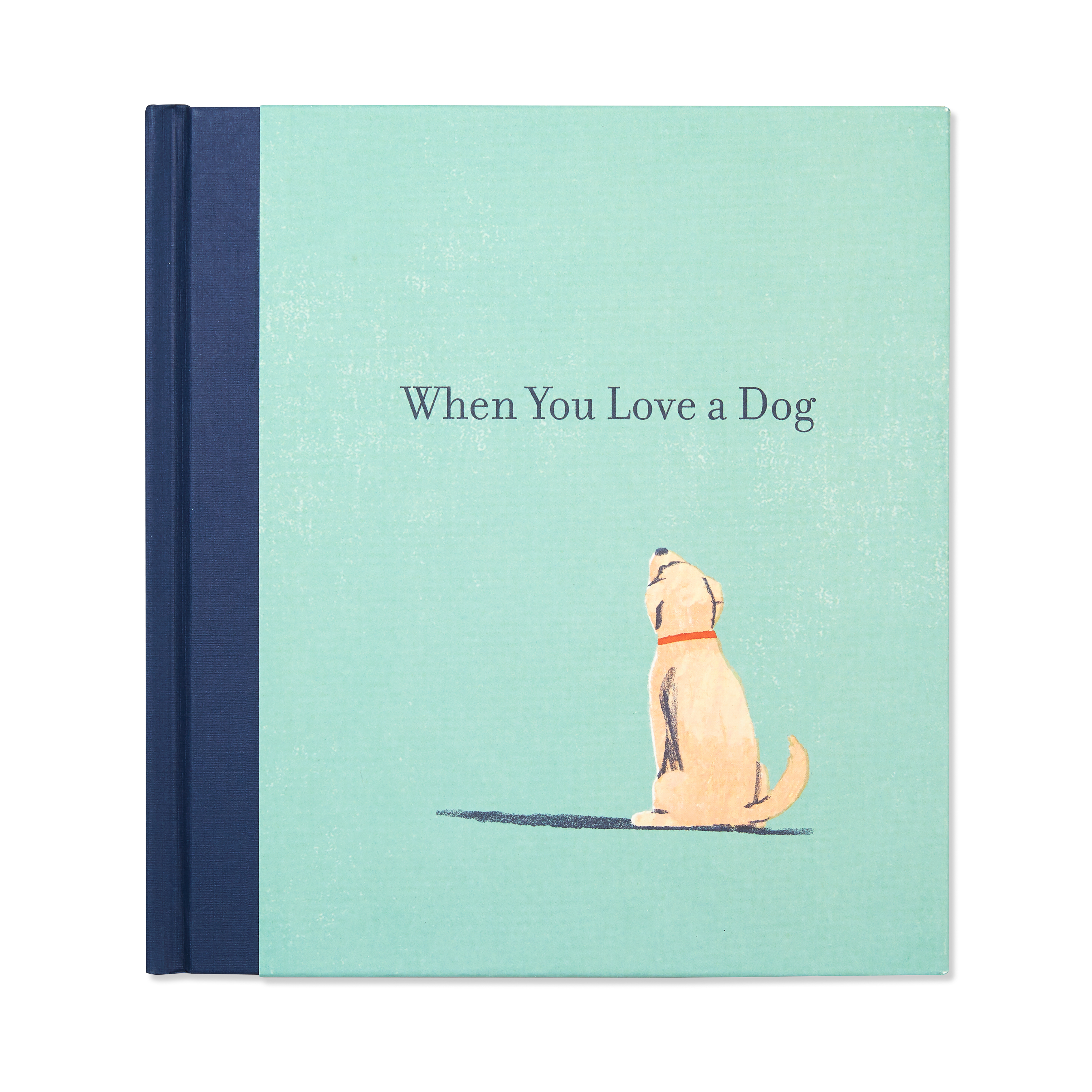 additional book photo