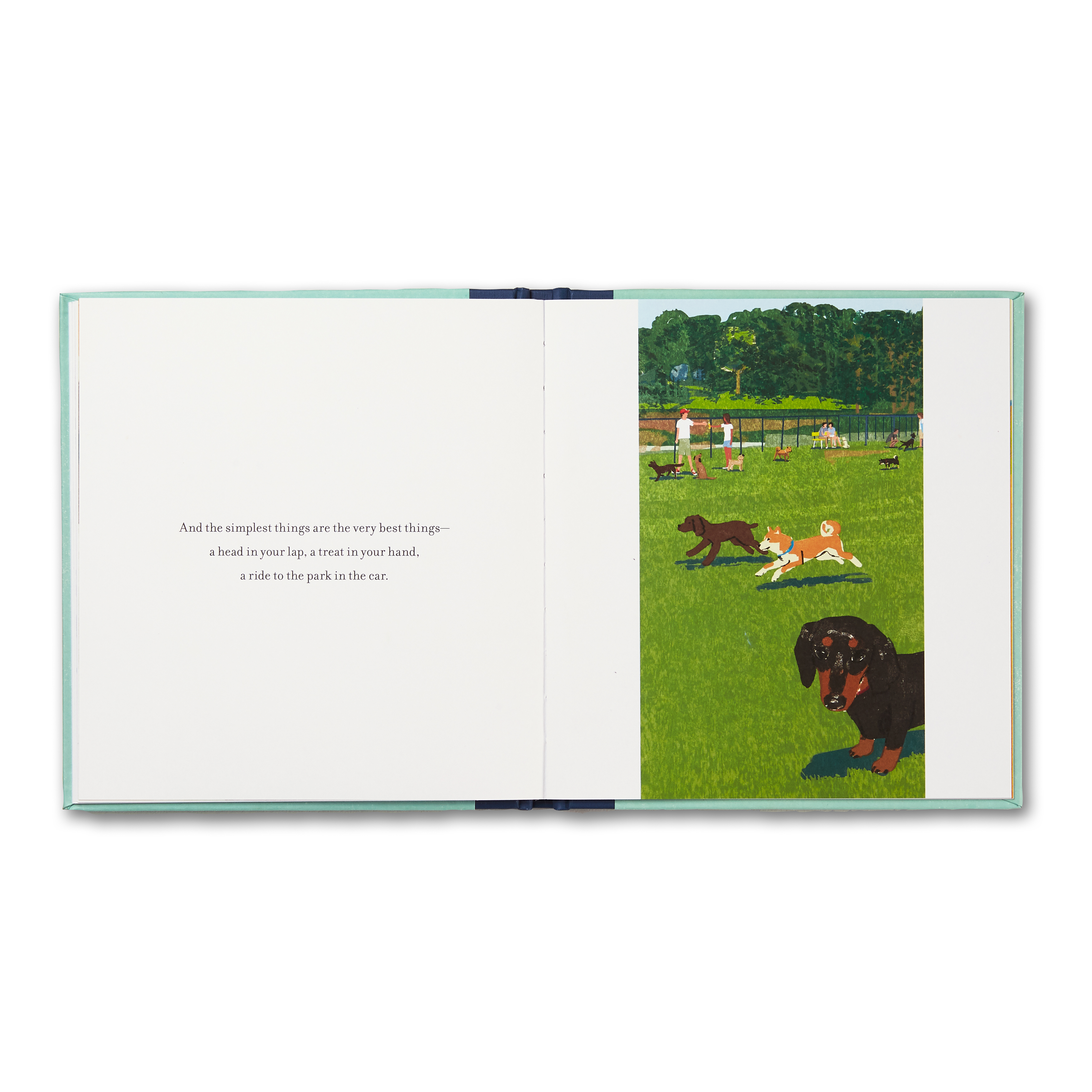 additional book photo