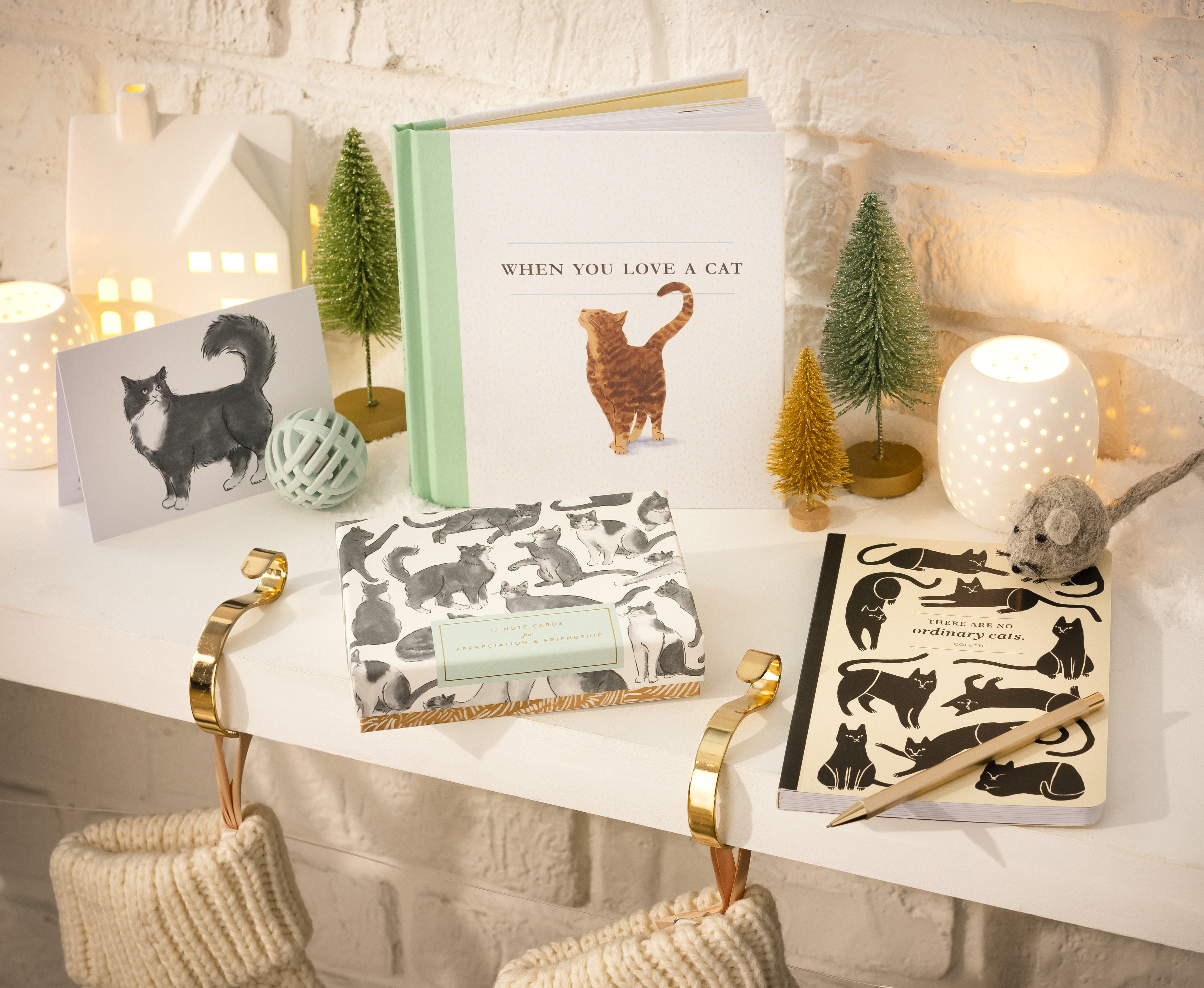 When You Love a Cat book and Note Cards, "There are no ordinary cats" Write Now Journal