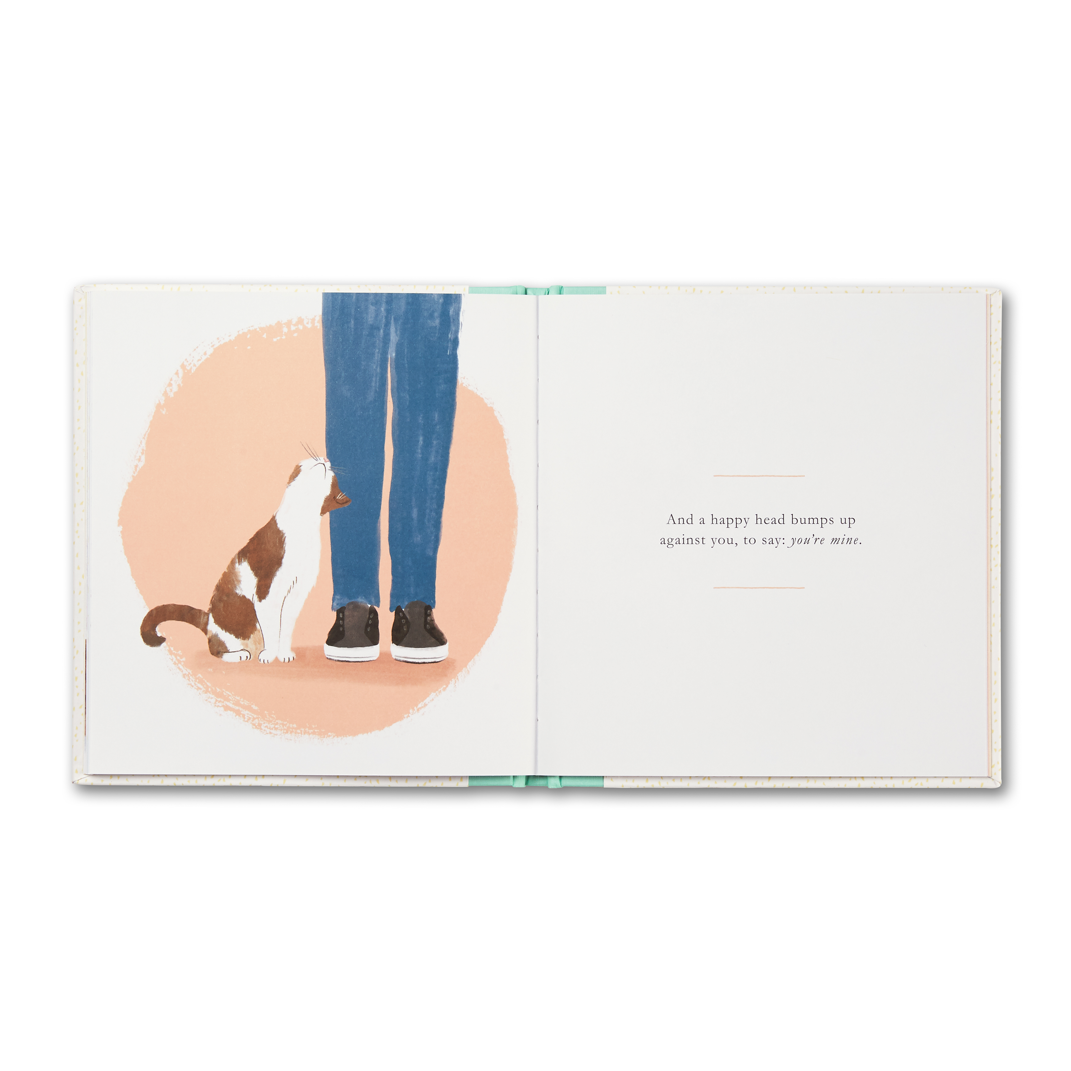 additional book photo