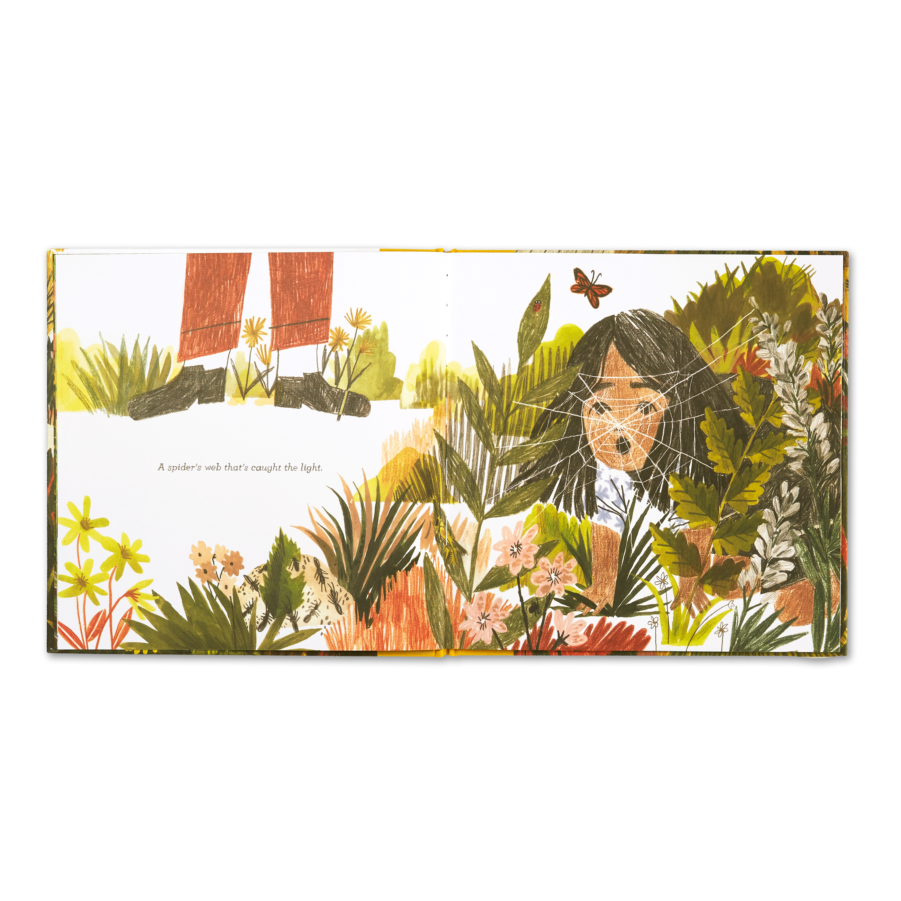 additional book photo
