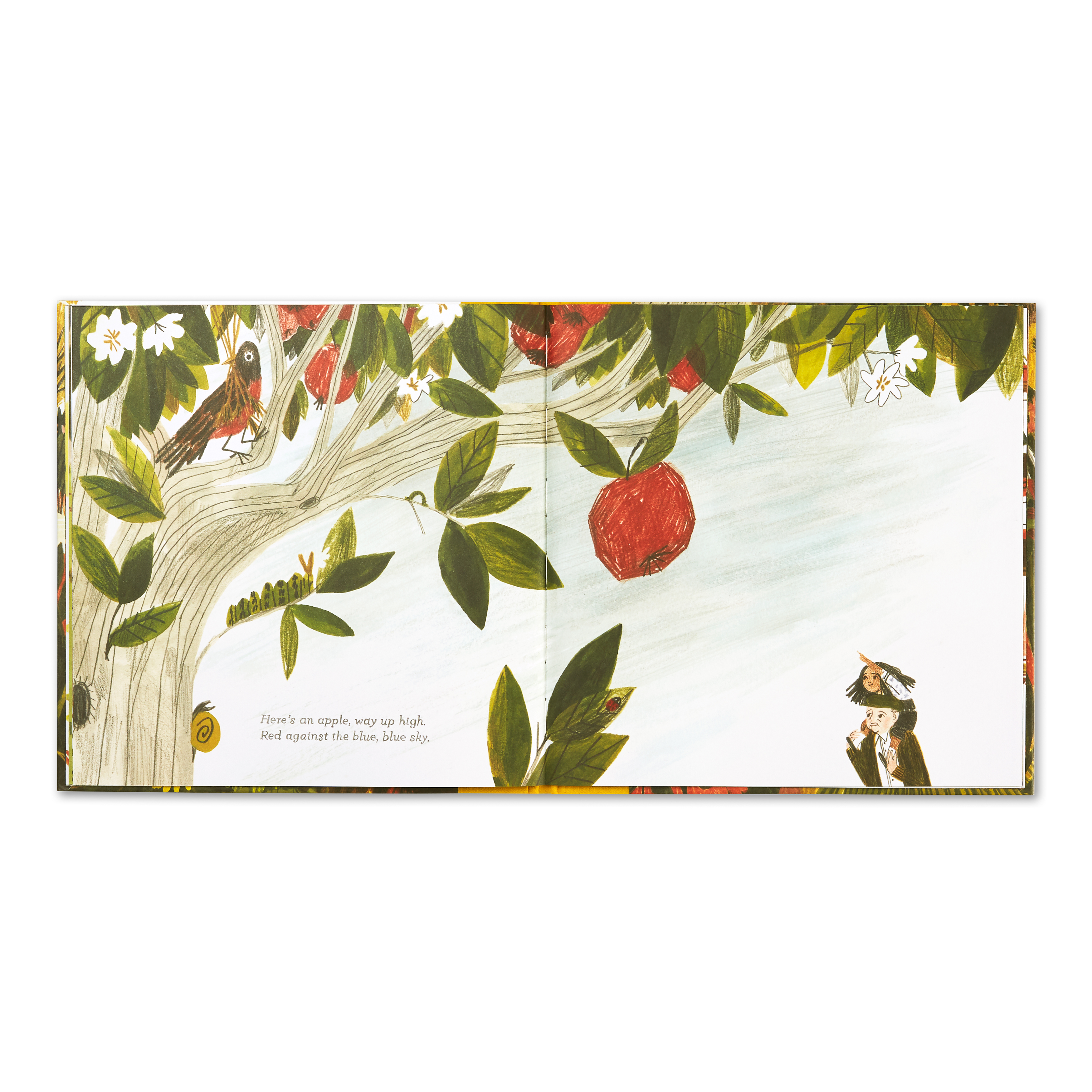 additional book photo