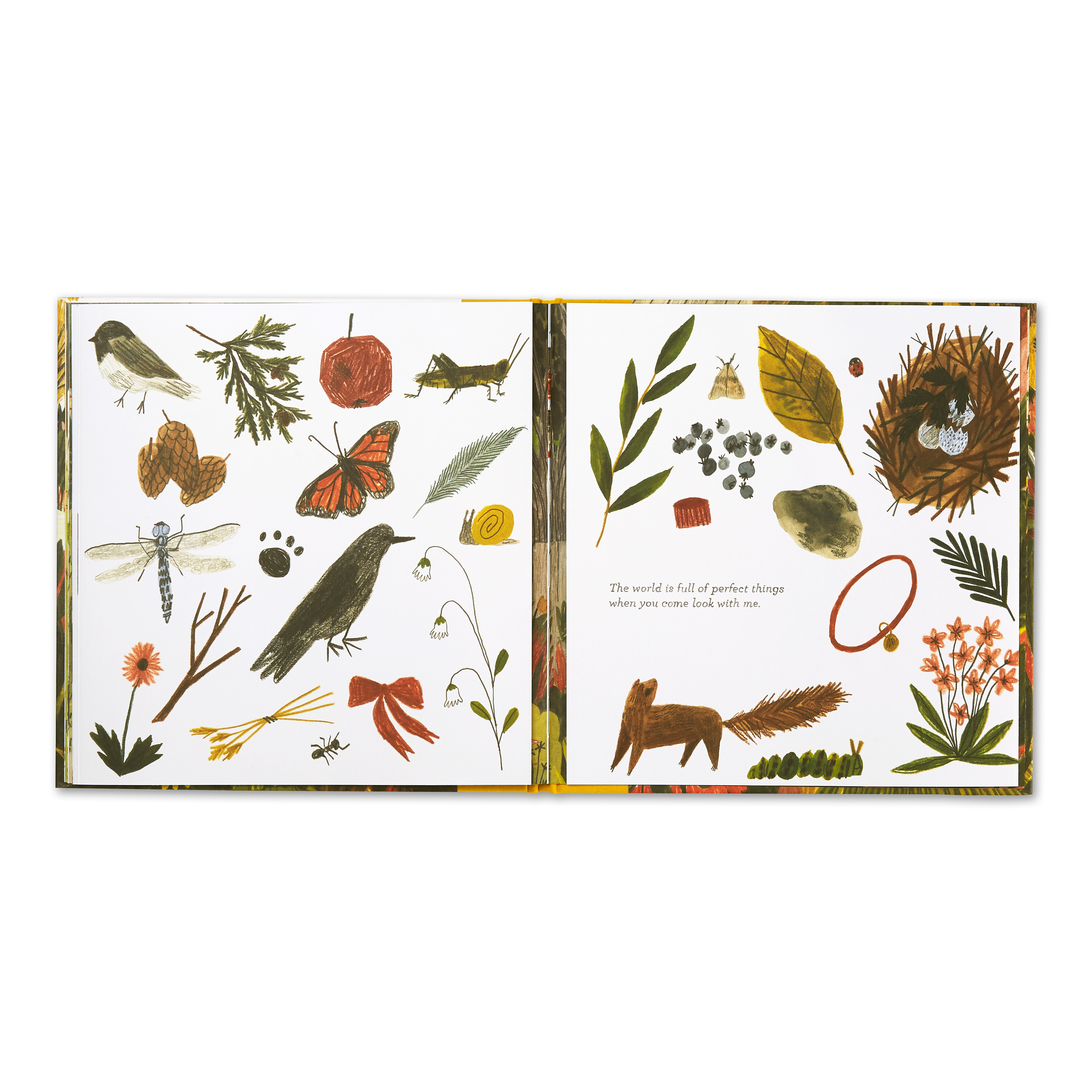 additional book photo