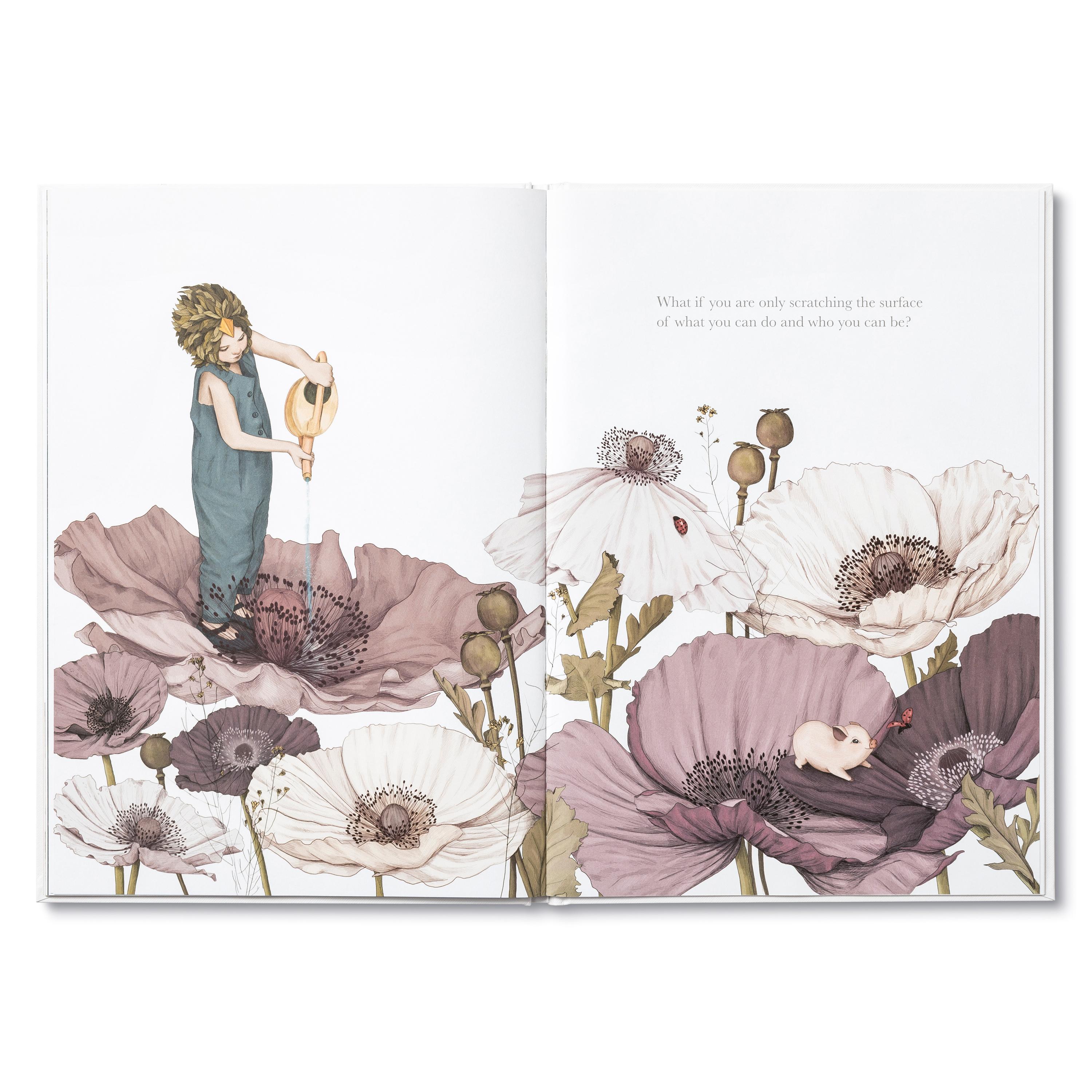 additional book photo
