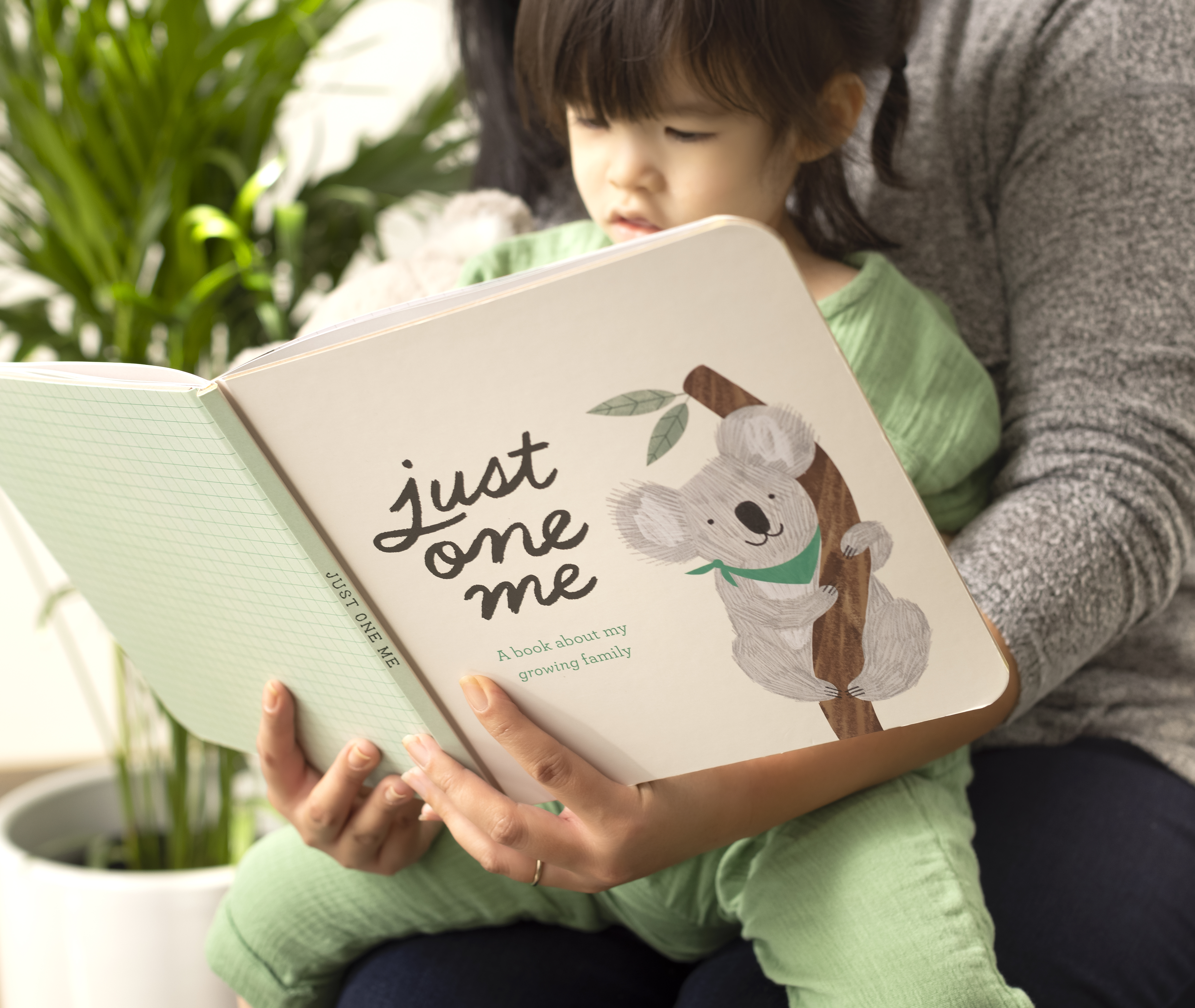 additional book photo