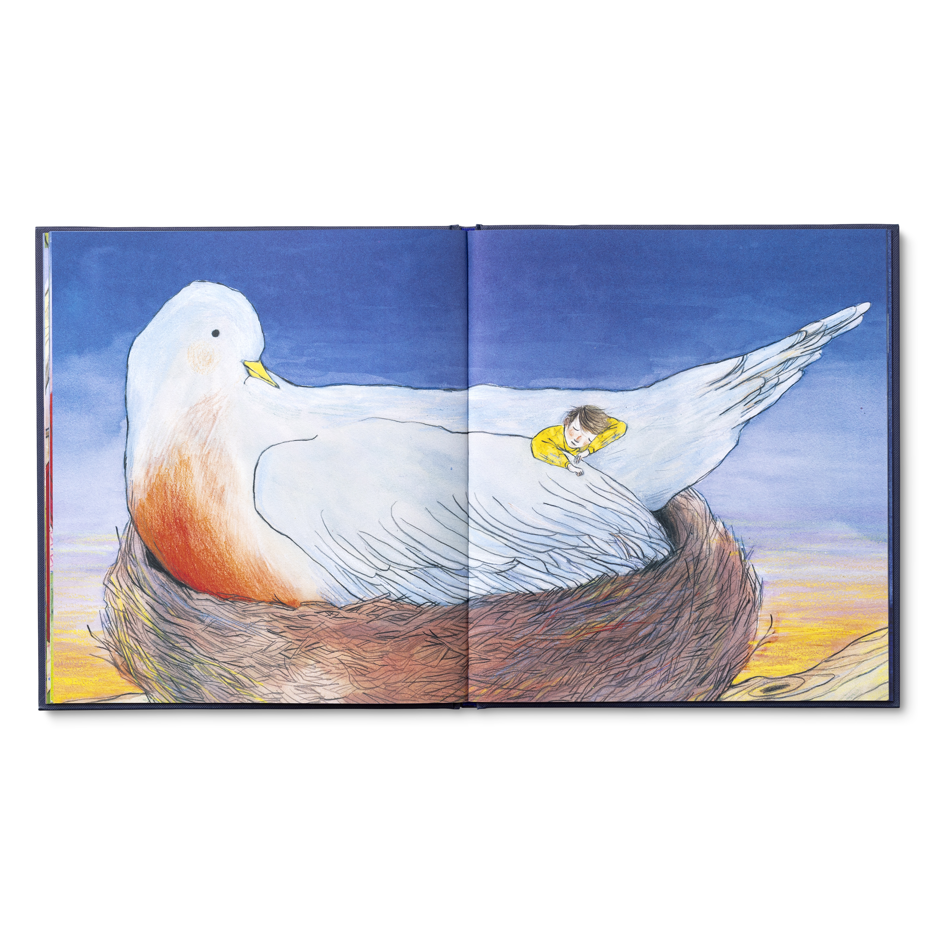 additional book photo