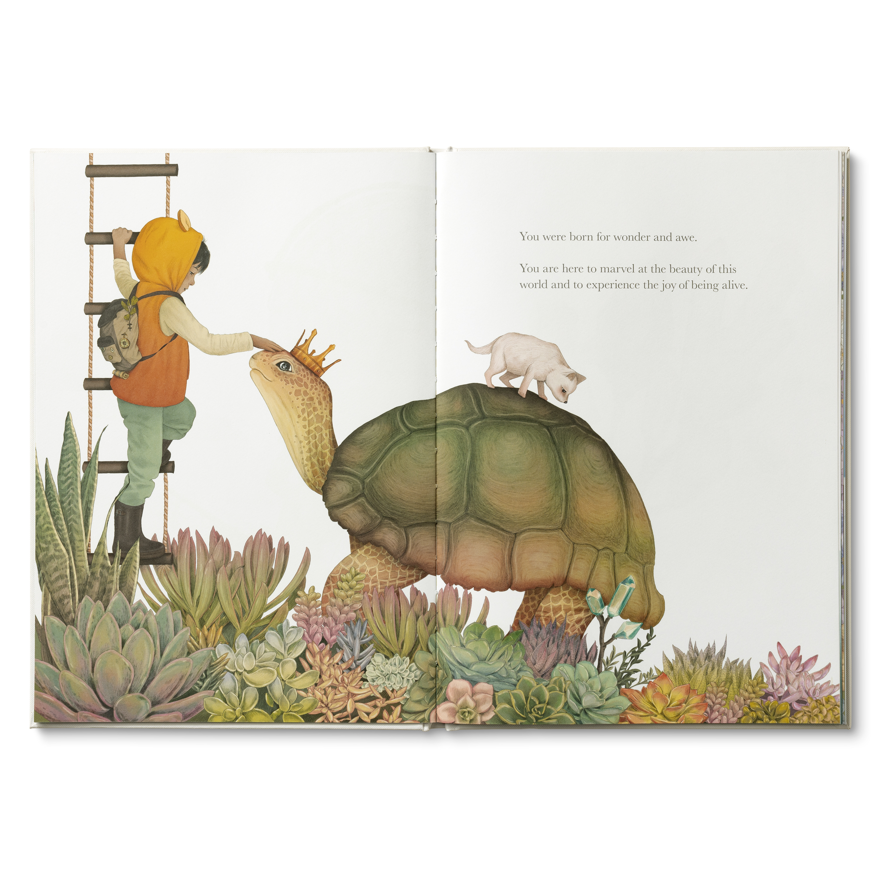 additional book photo