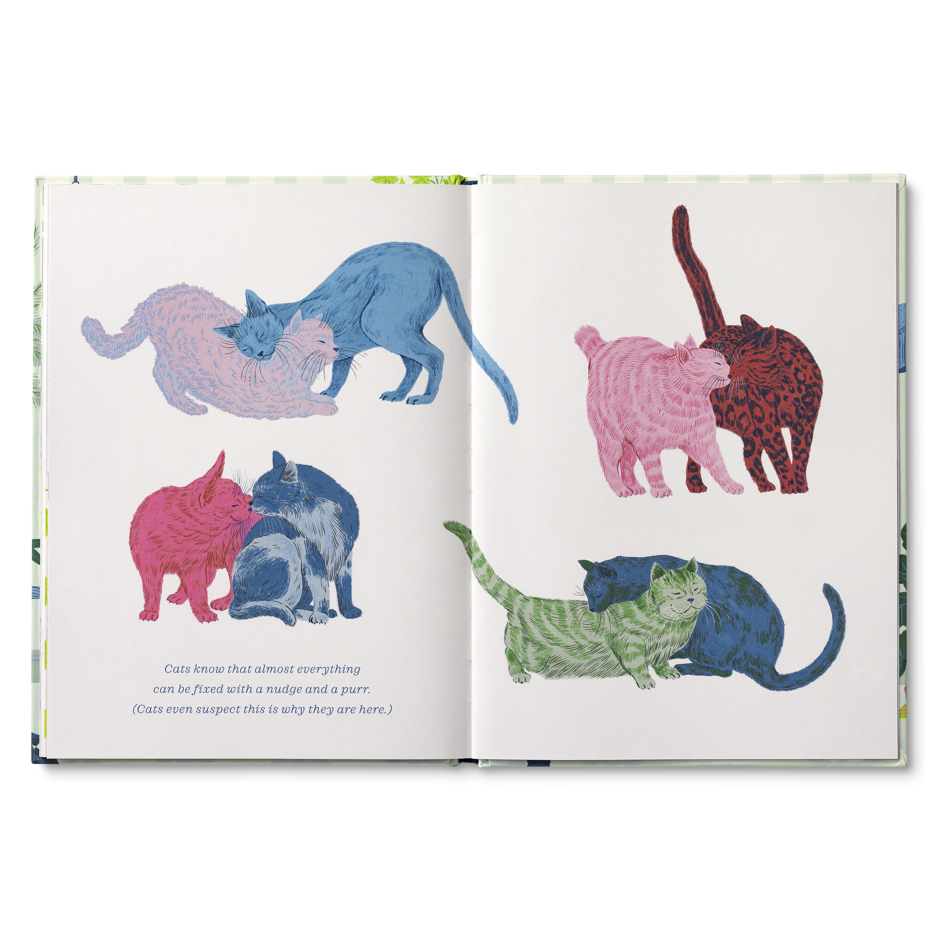 additional book photo