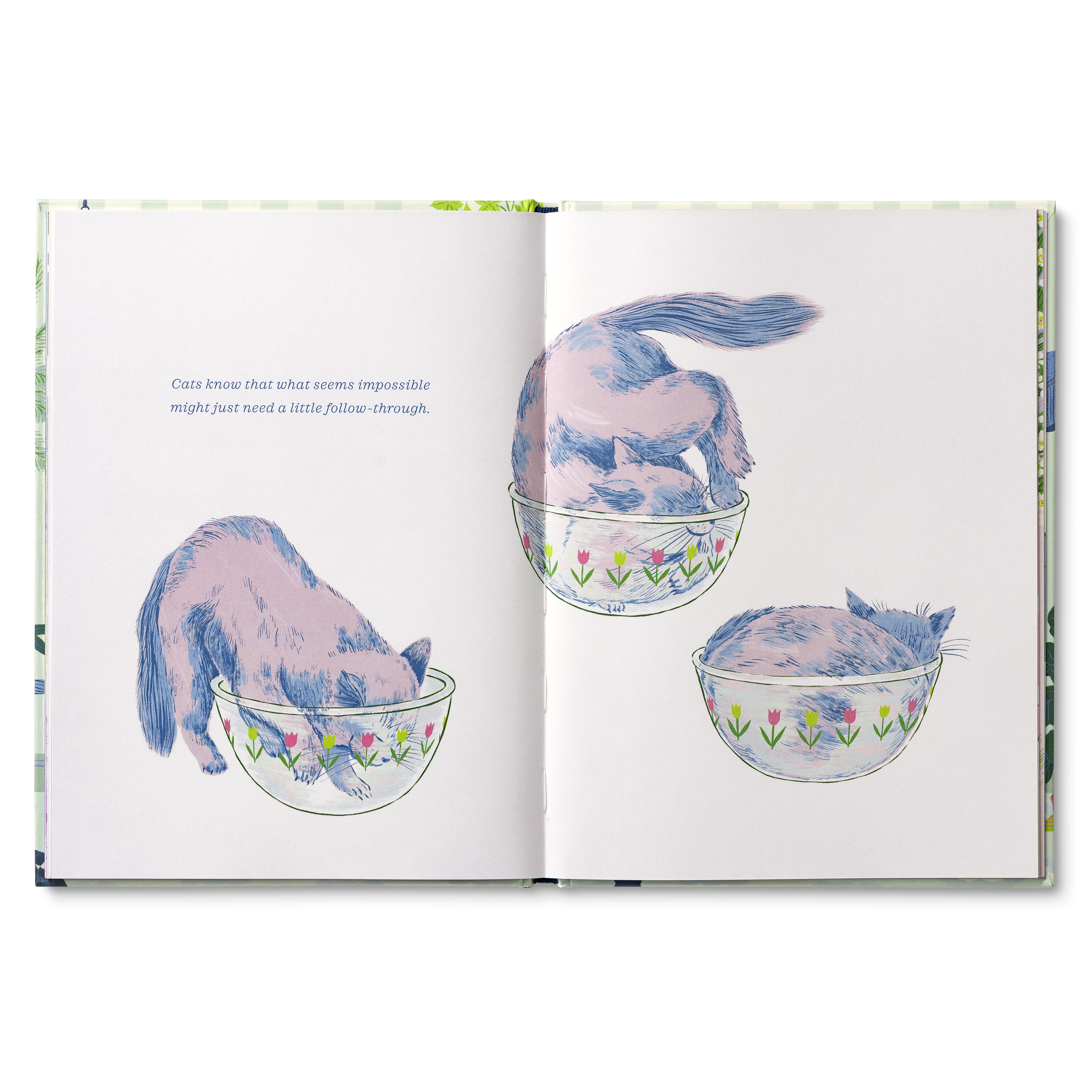 additional book photo