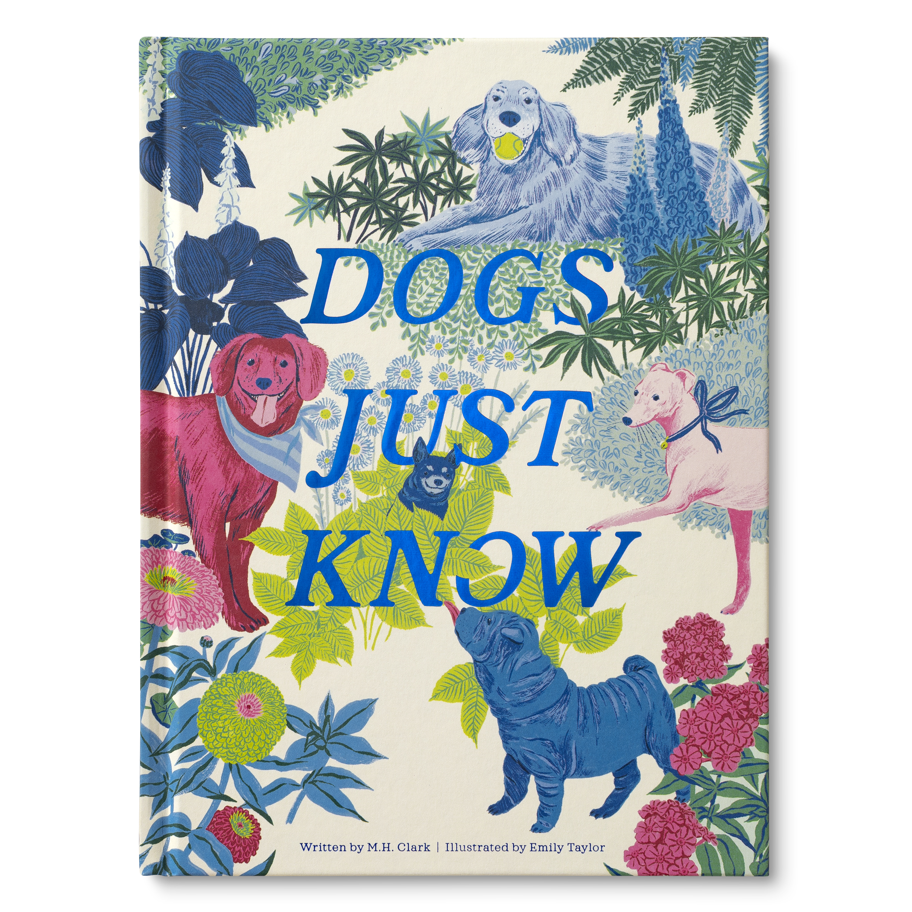 additional book photo