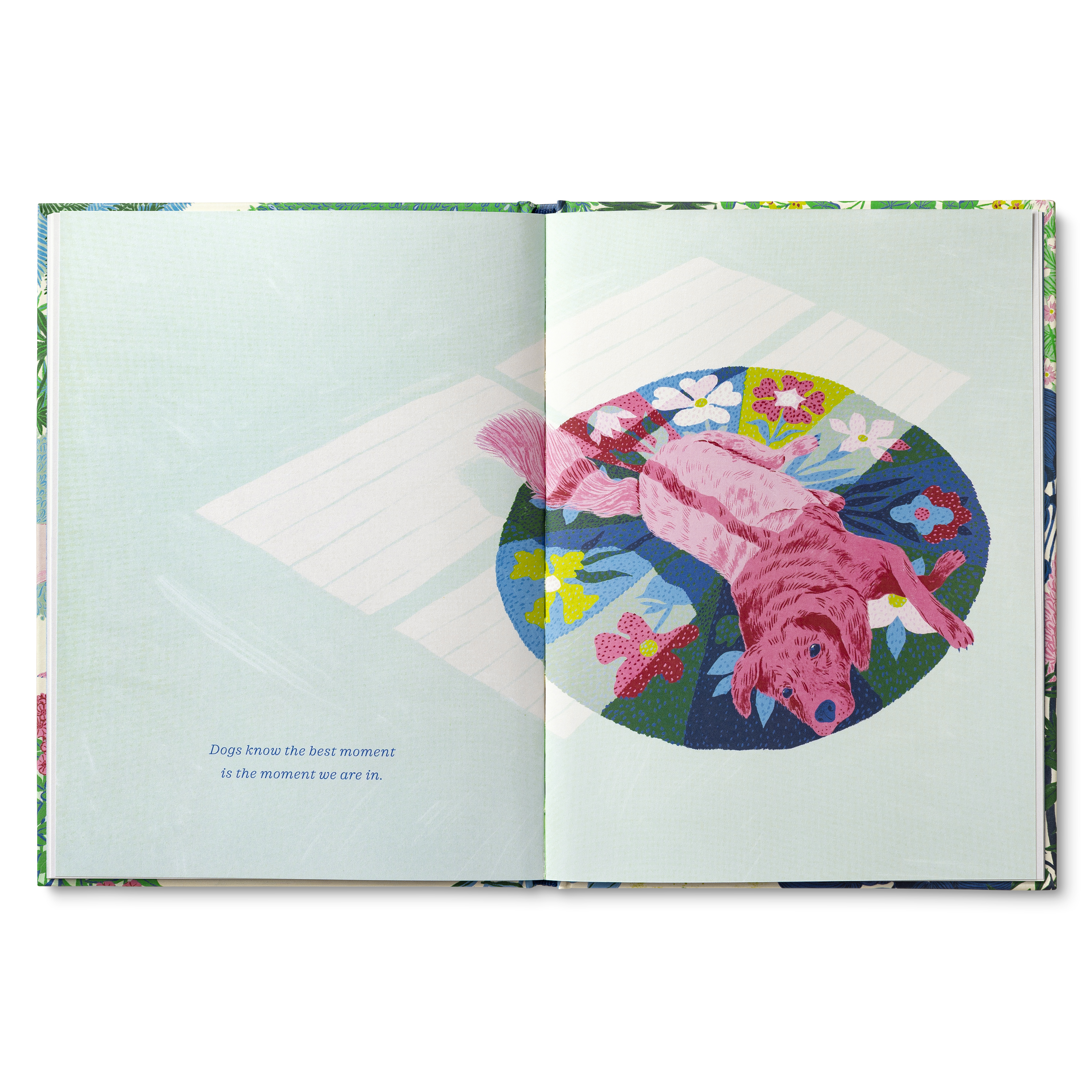 additional book photo
