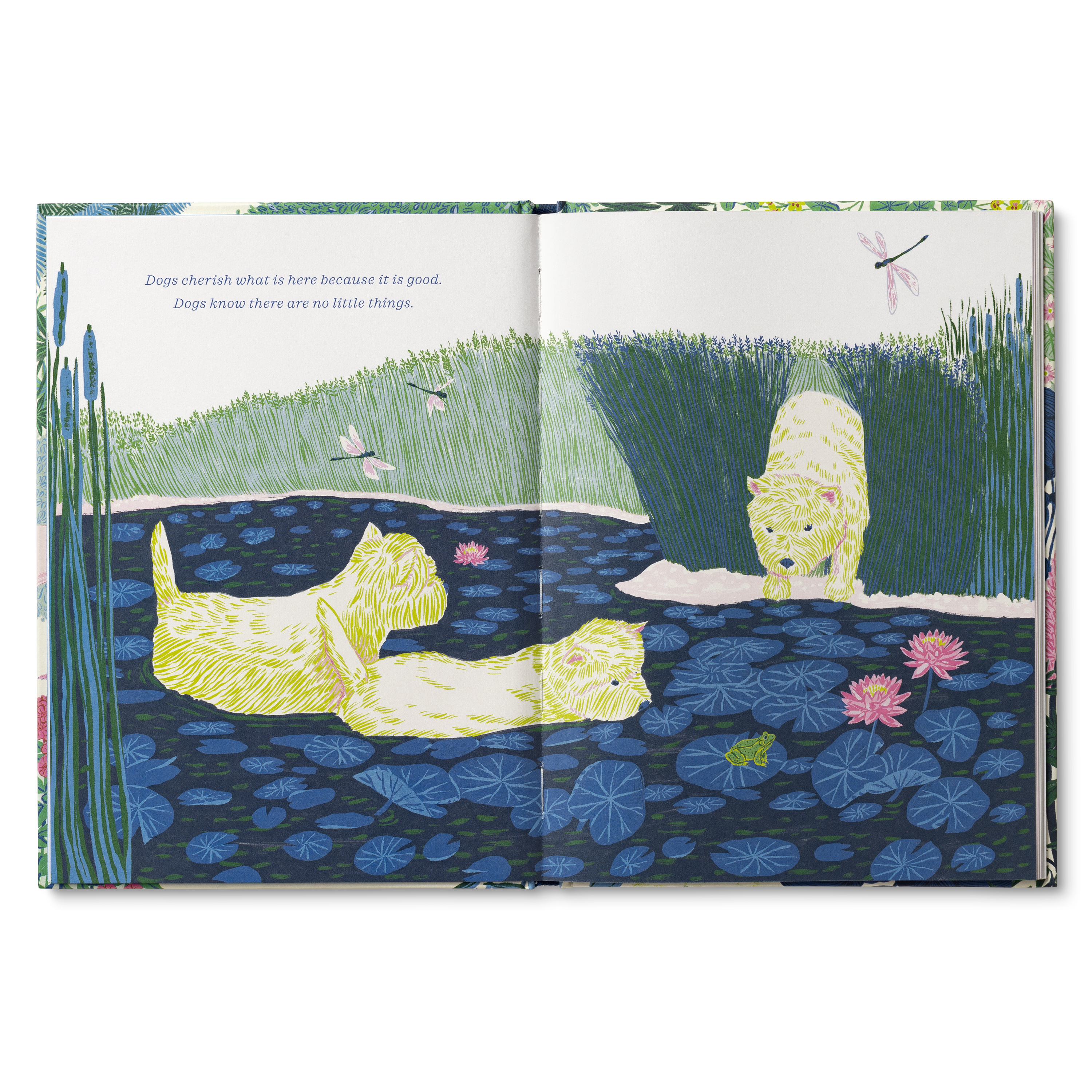 additional book photo
