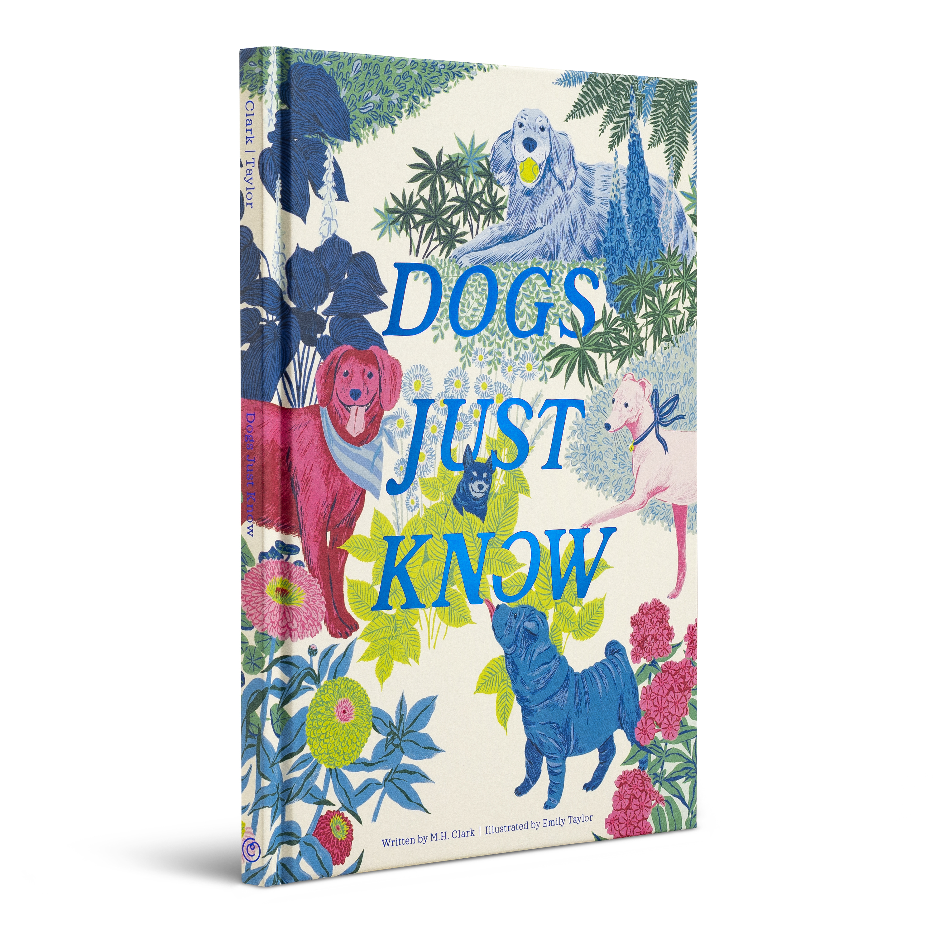additional book photo