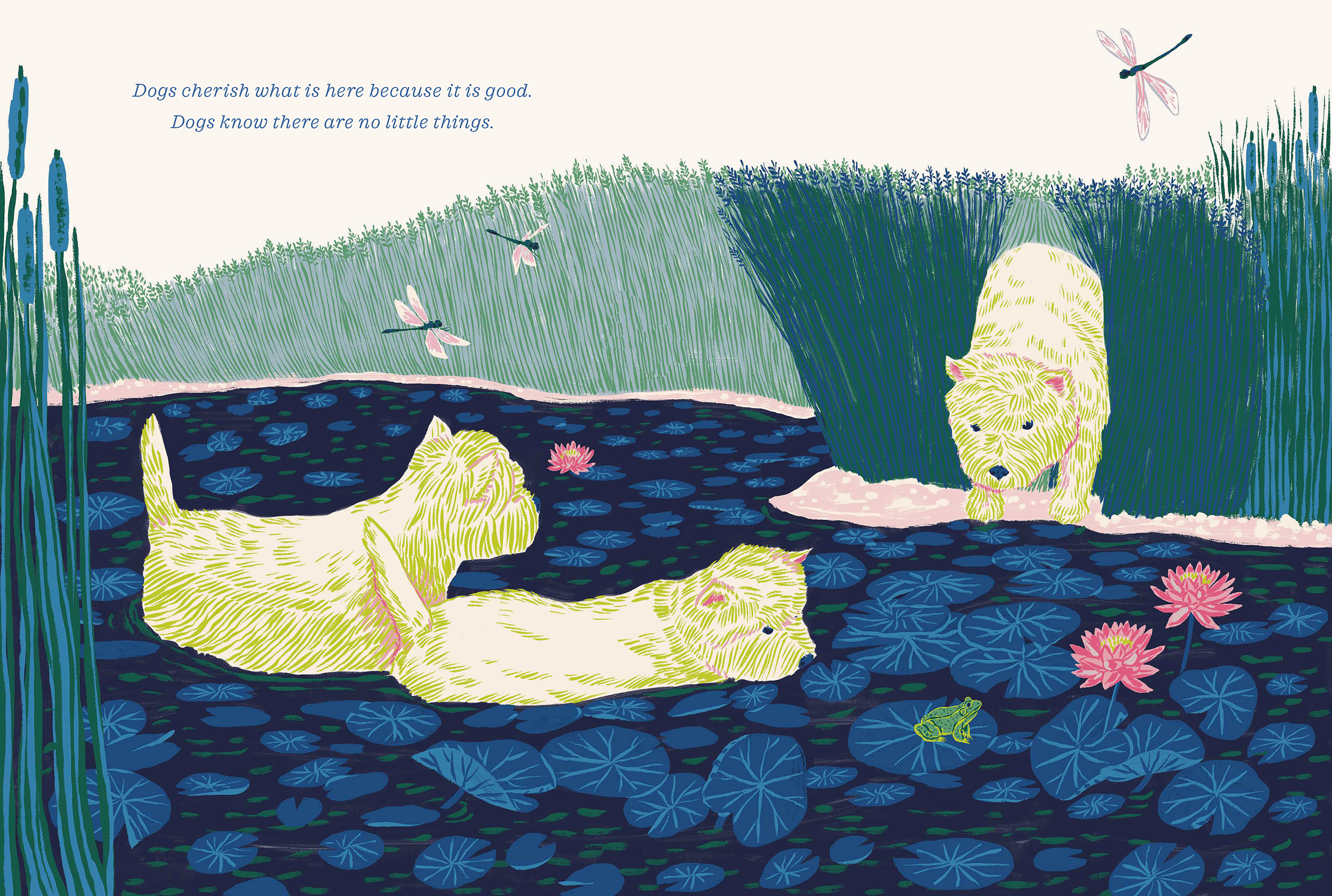 additional book photo