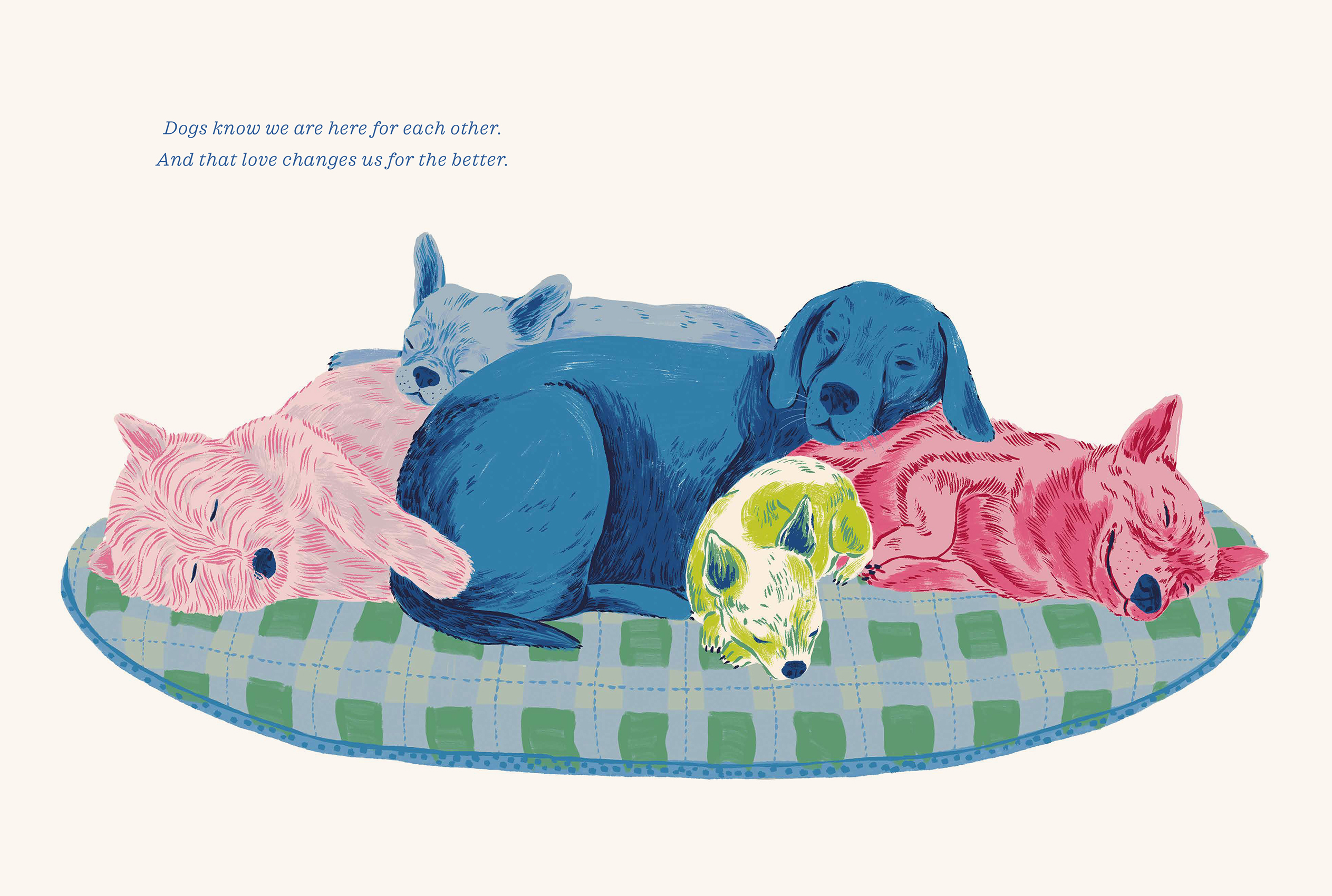 additional book photo