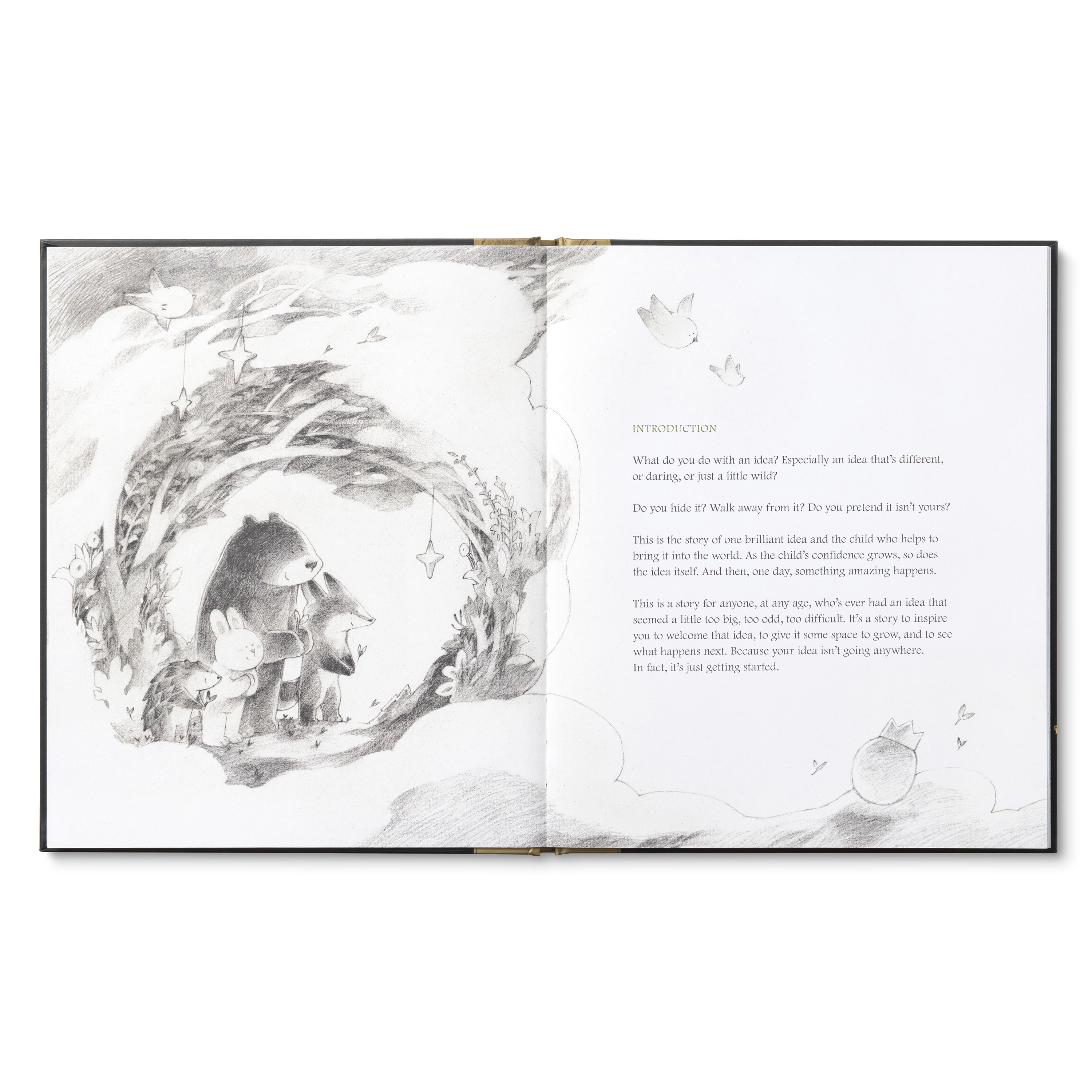 additional book photo