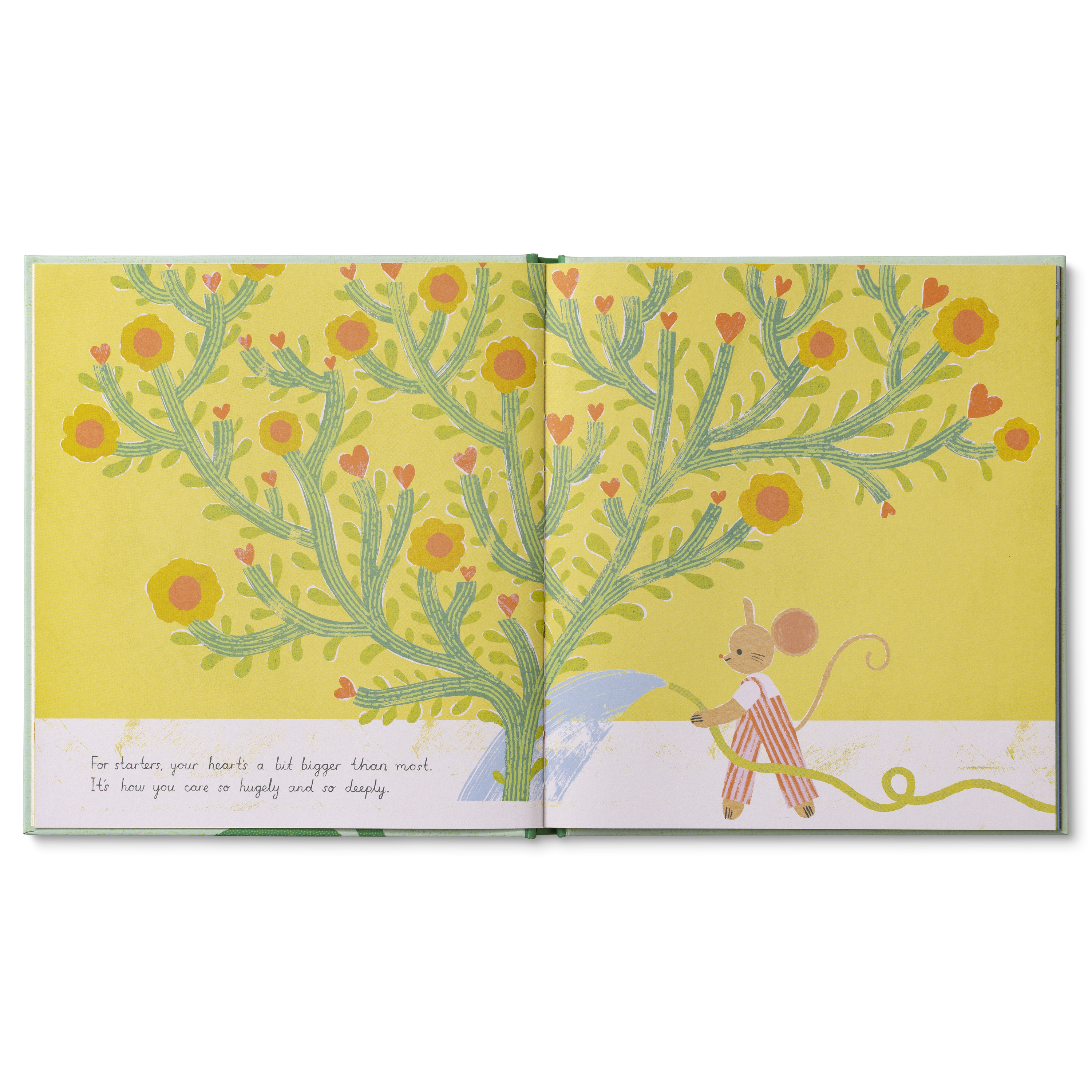 additional book photo