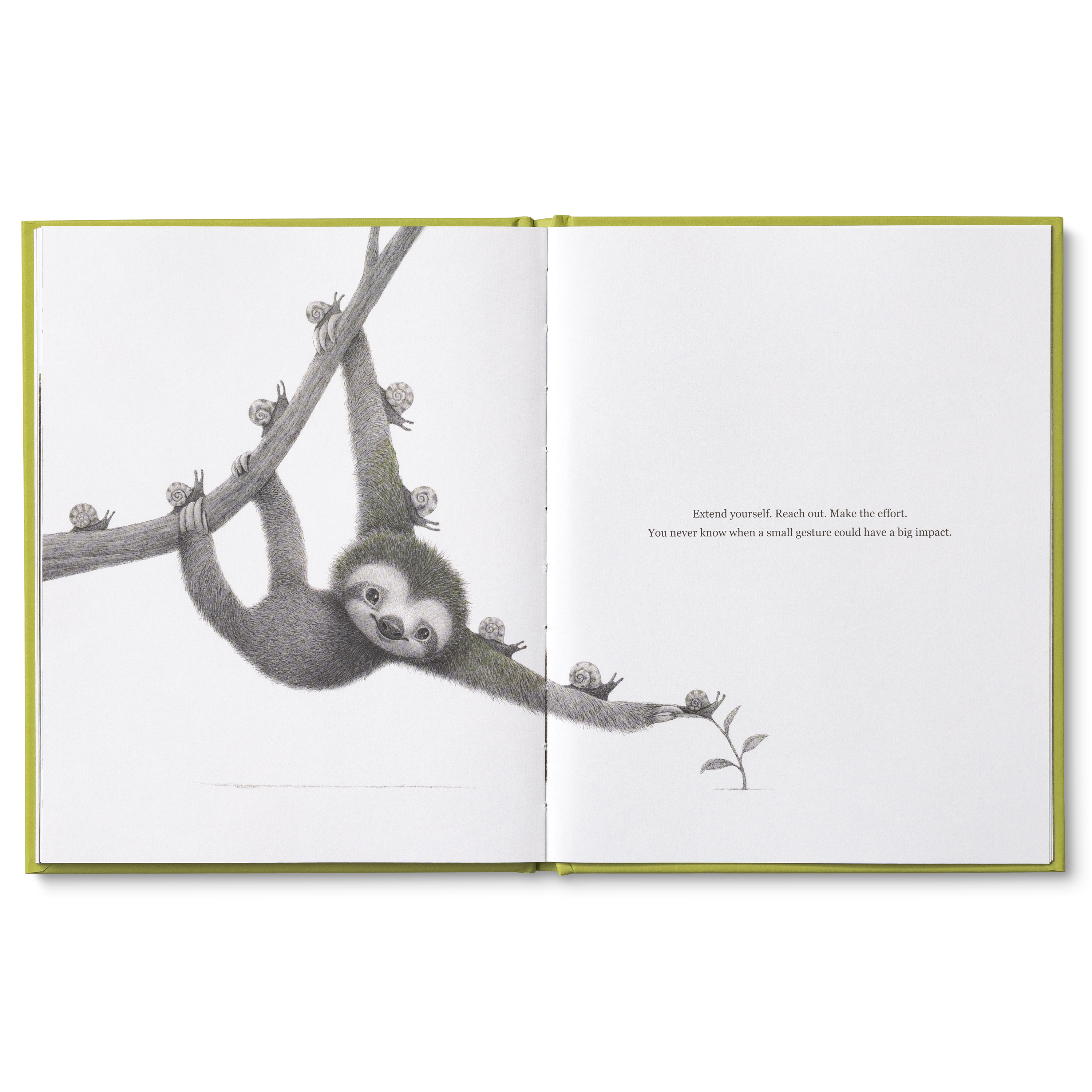 additional book photo
