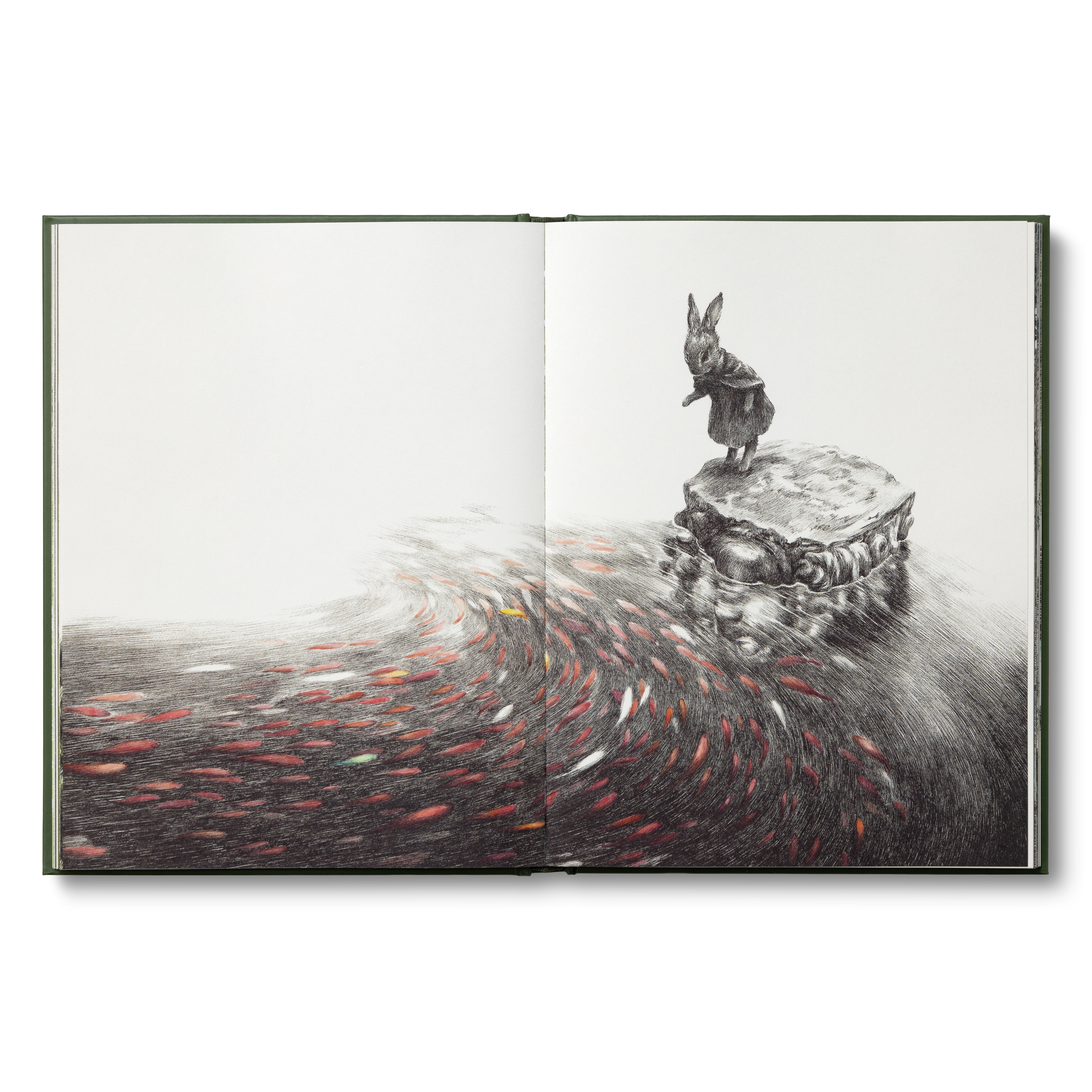 additional book photo