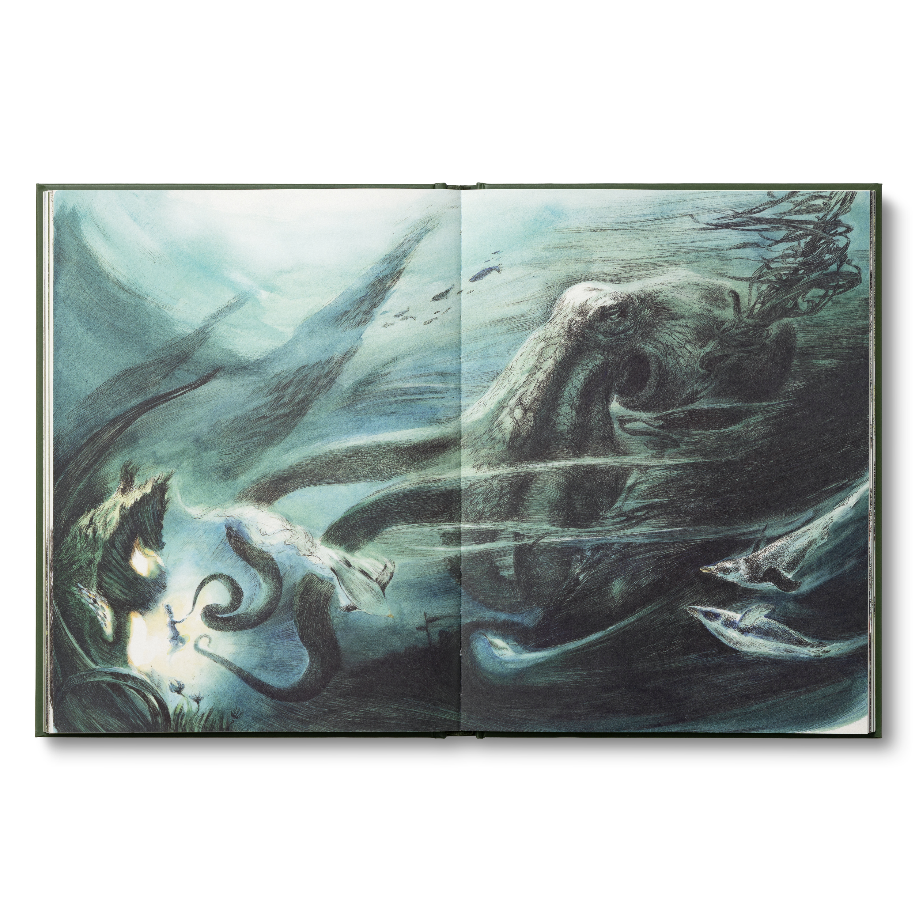 additional book photo