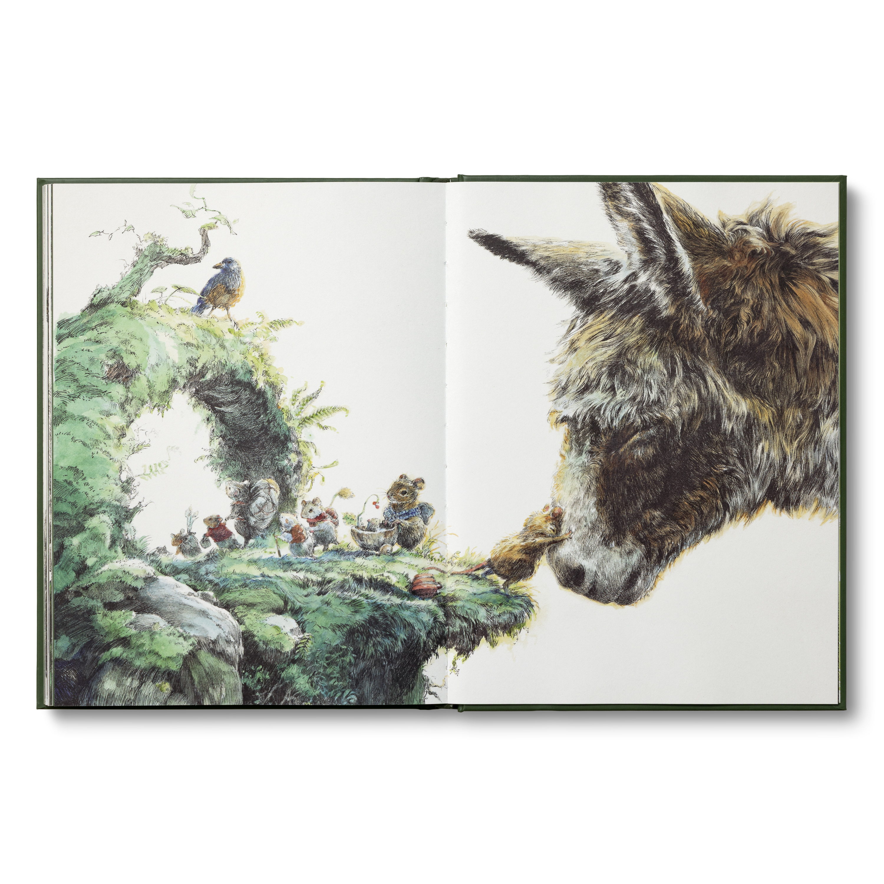 additional book photo