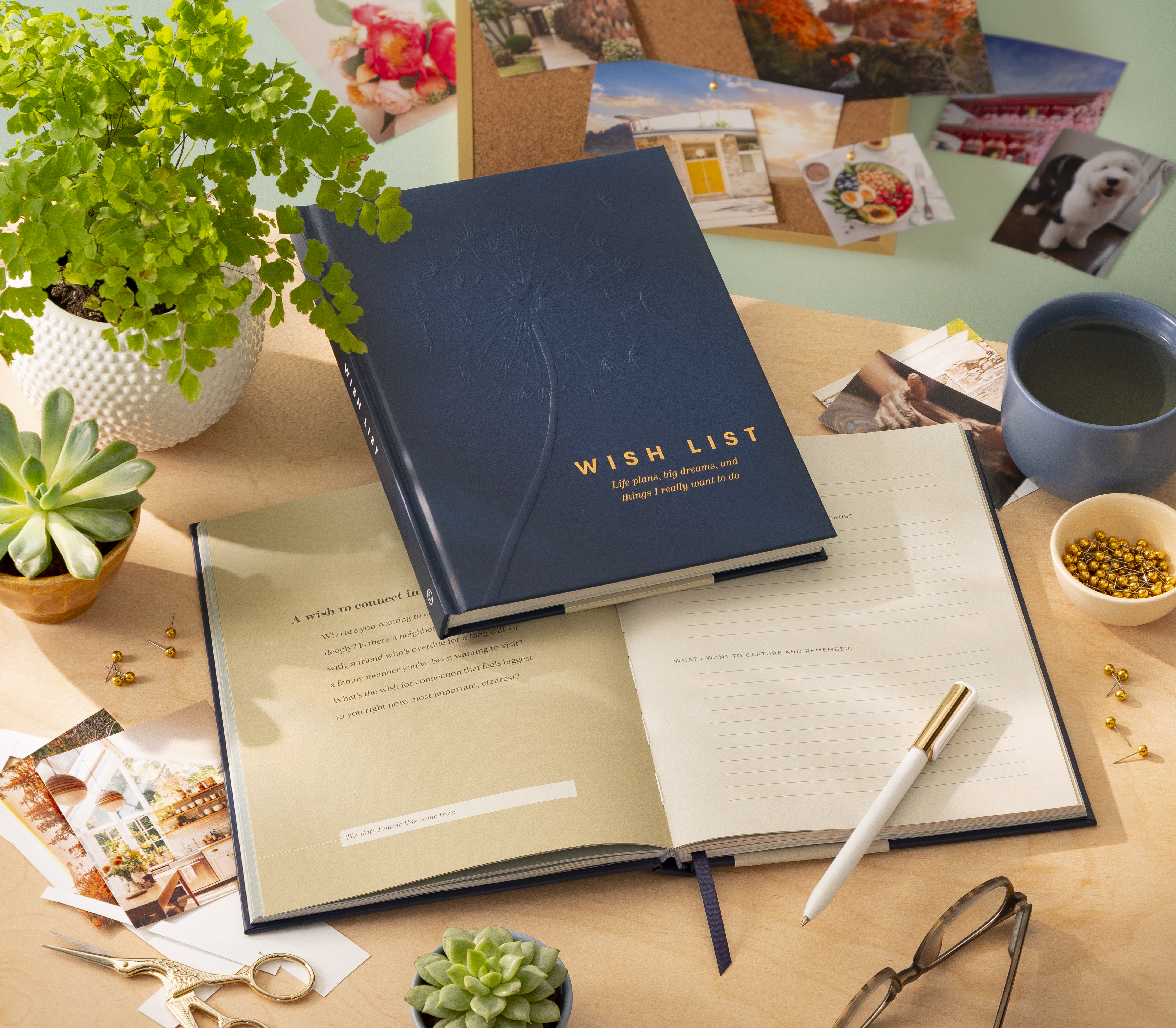 additional book photo
