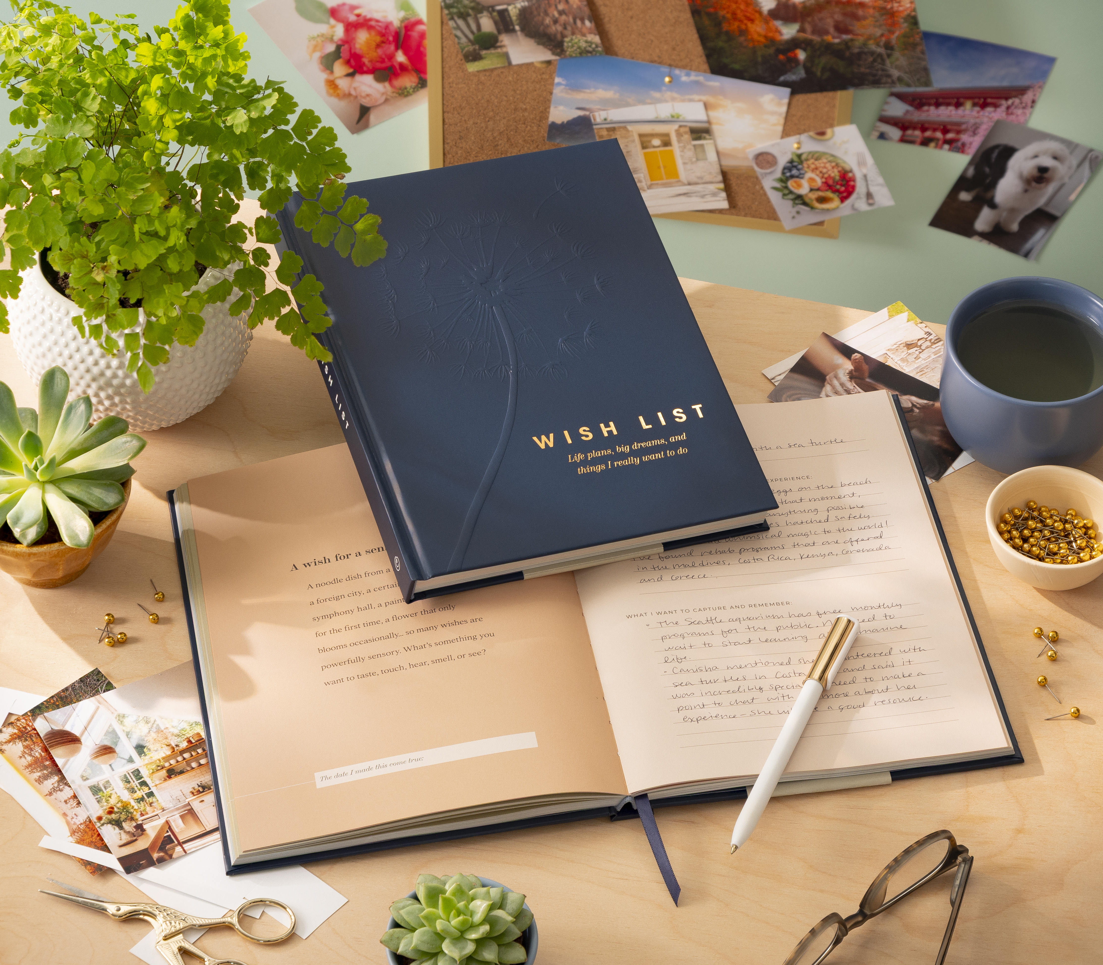 additional book photo
