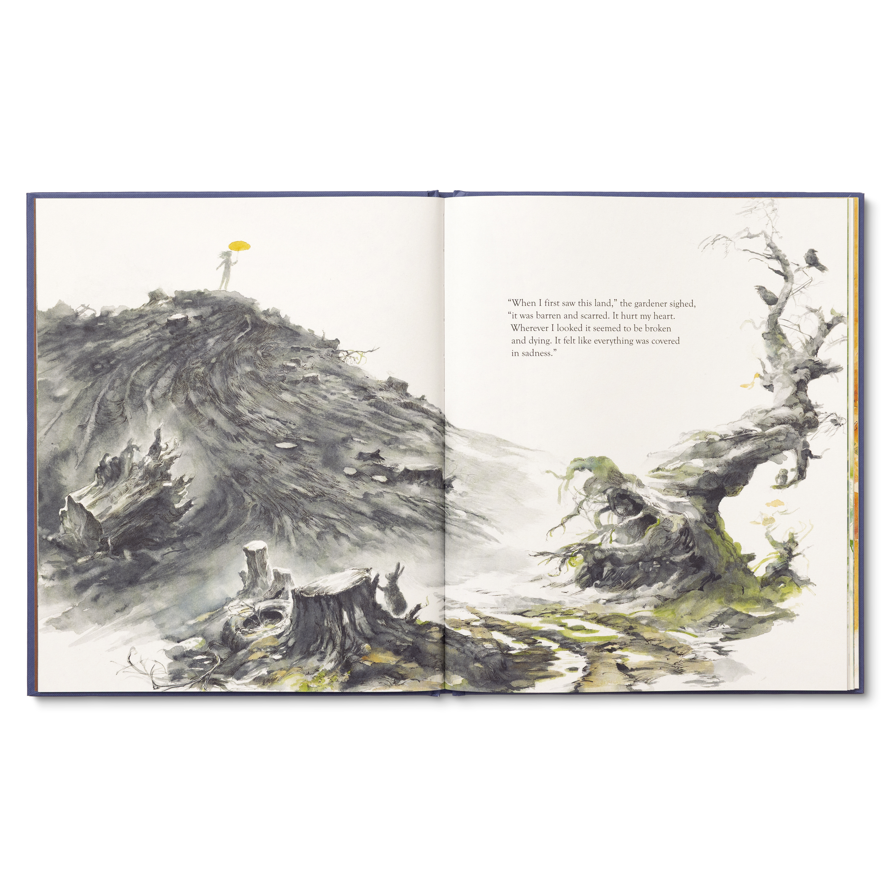 additional book photo