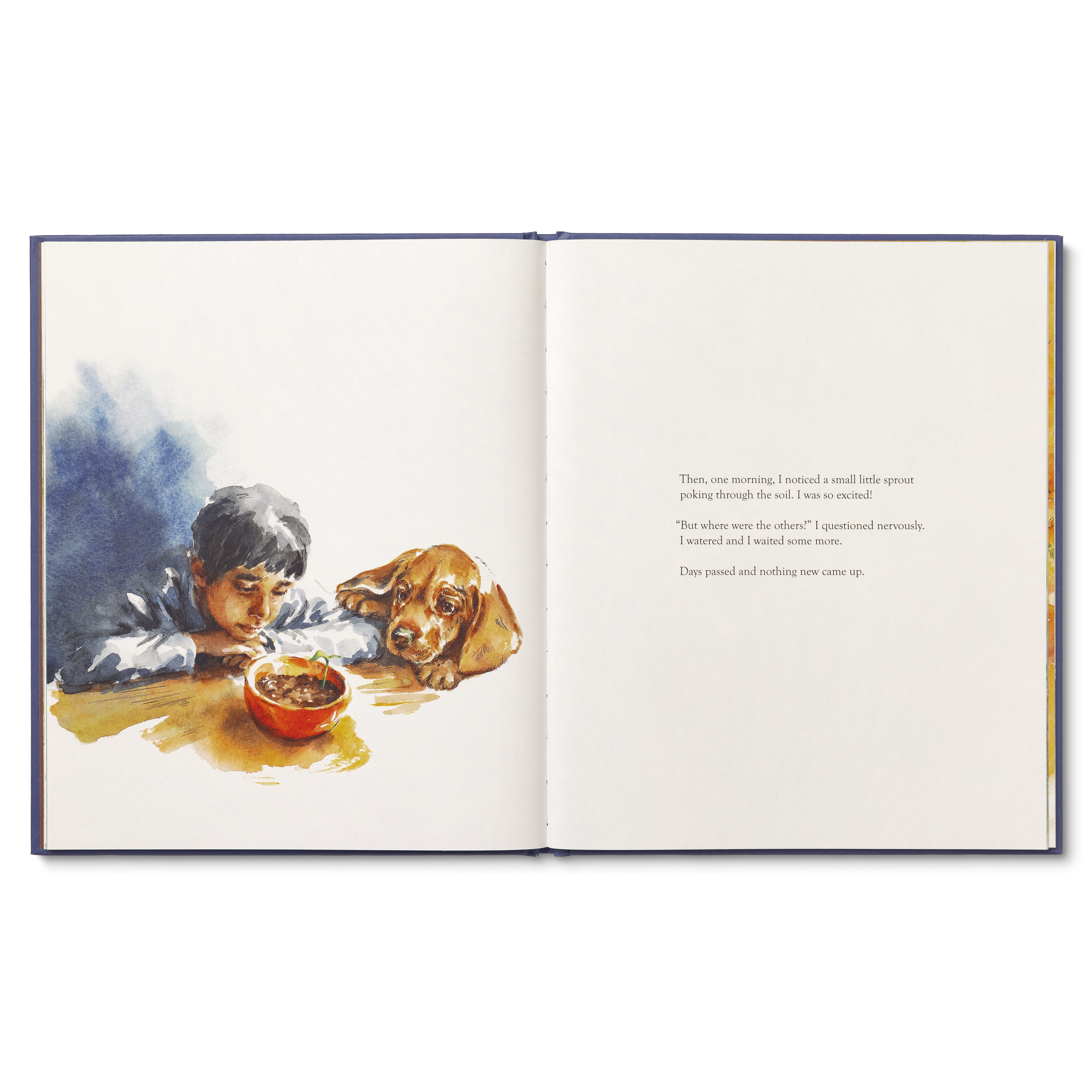 additional book photo
