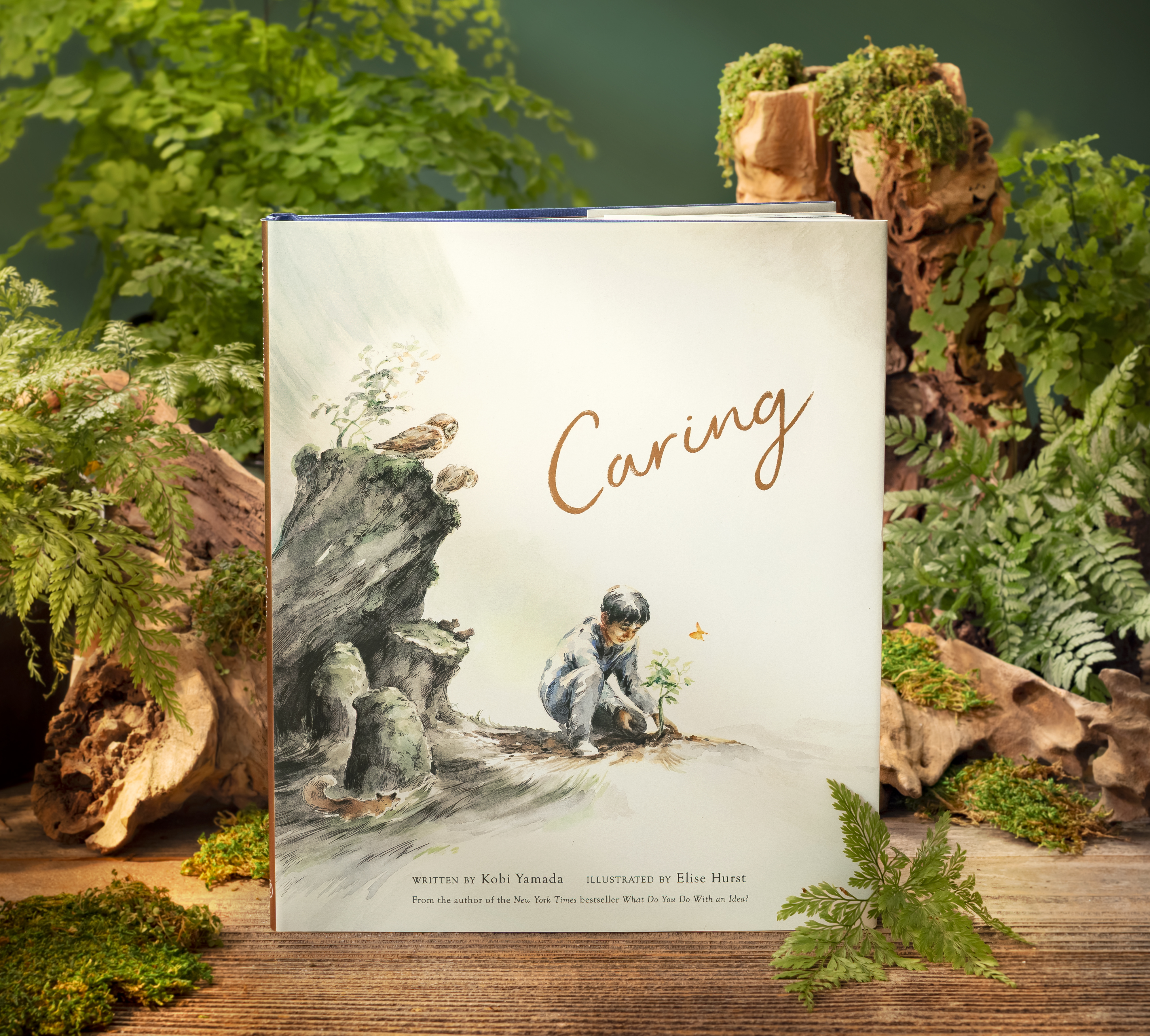 additional book photo