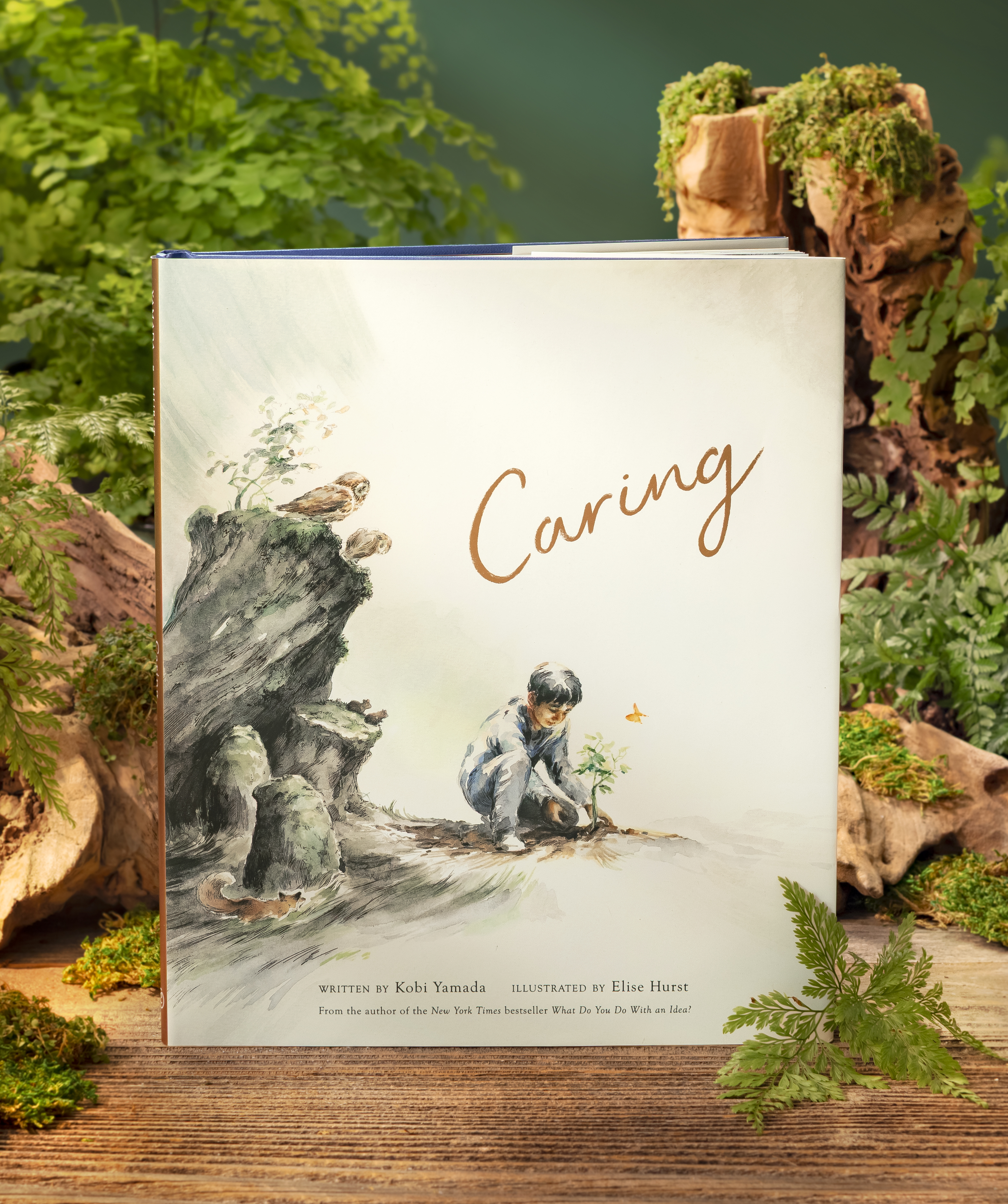 additional book photo