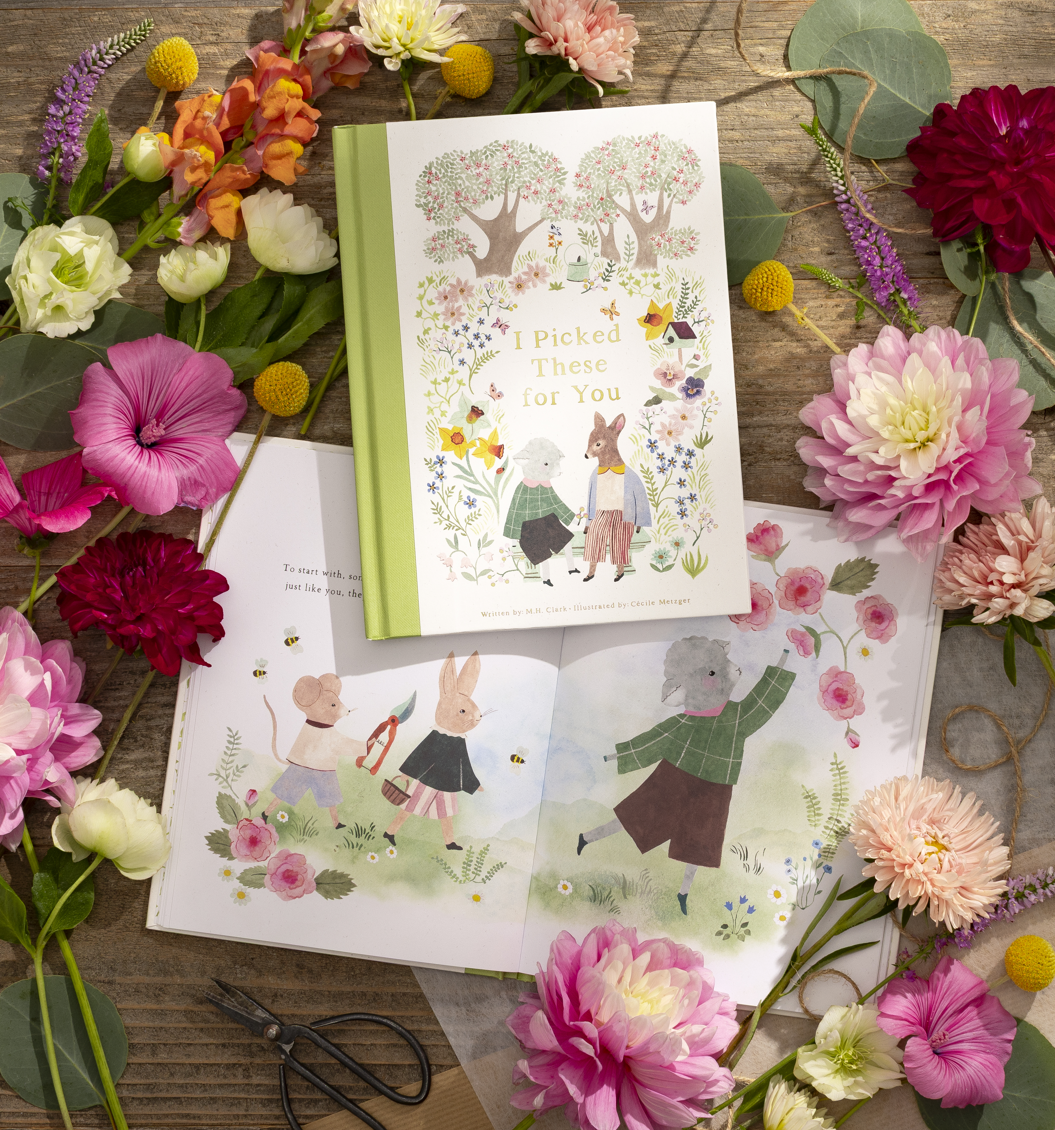 additional book photo