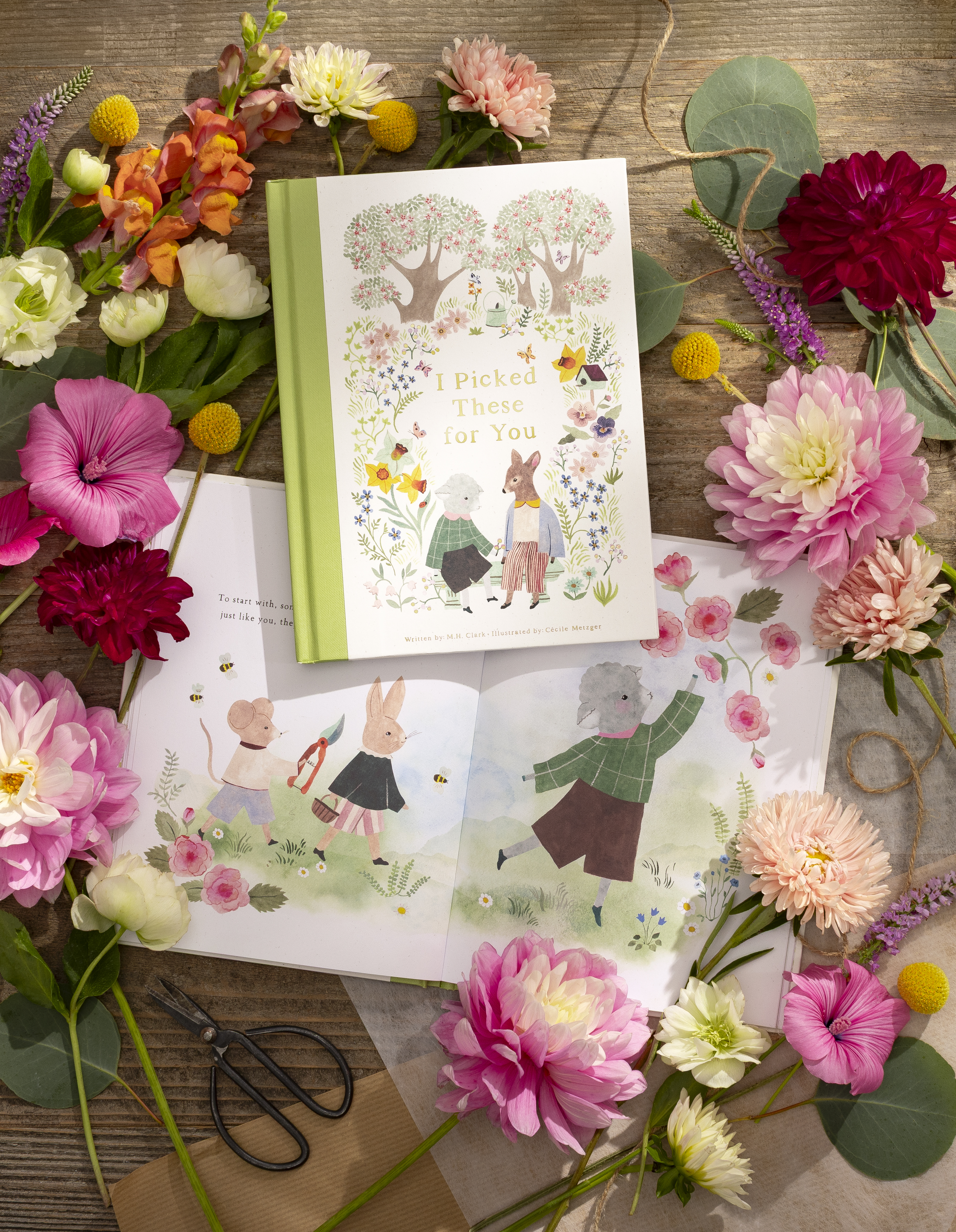 additional book photo