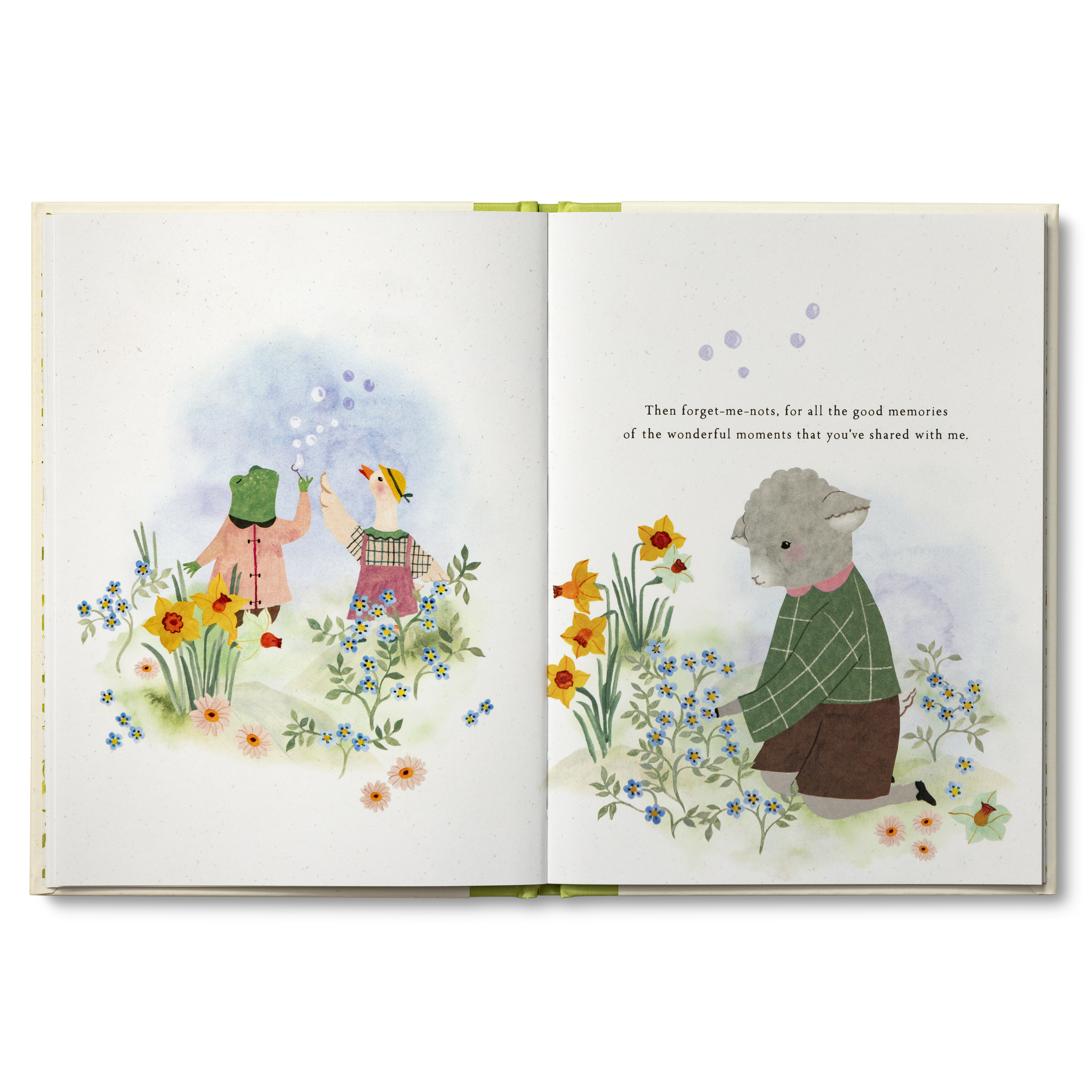 additional book photo