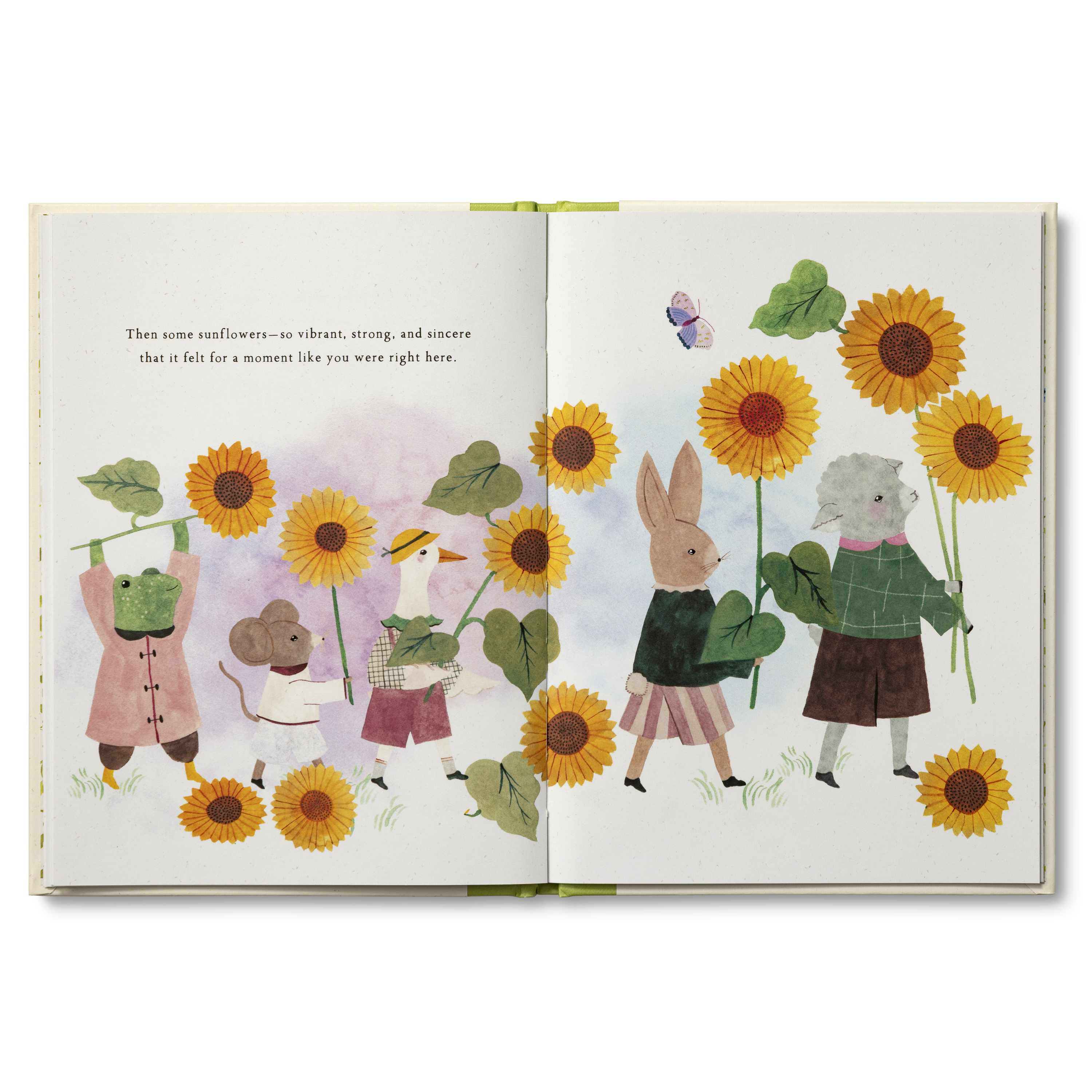 additional book photo