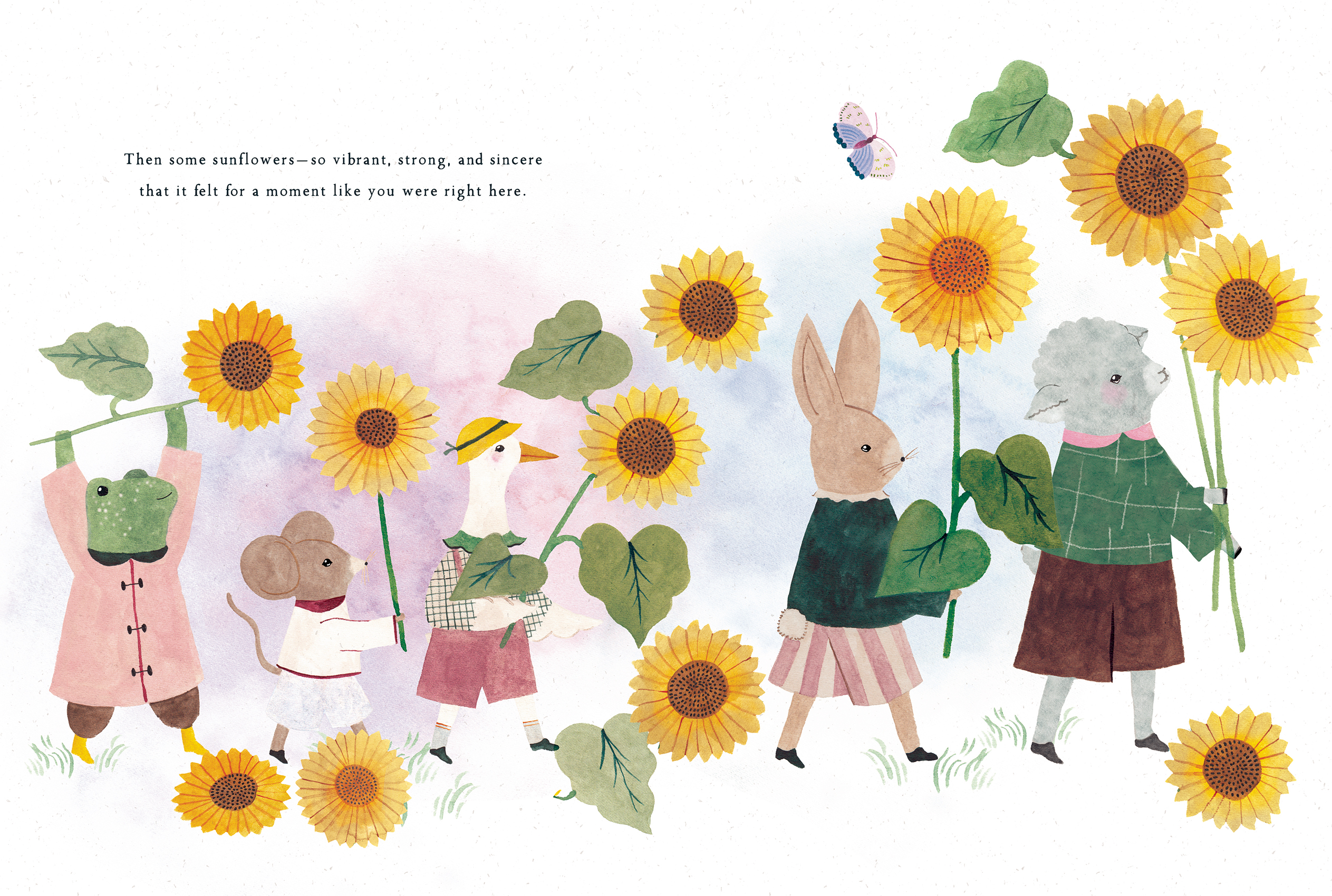 additional book photo