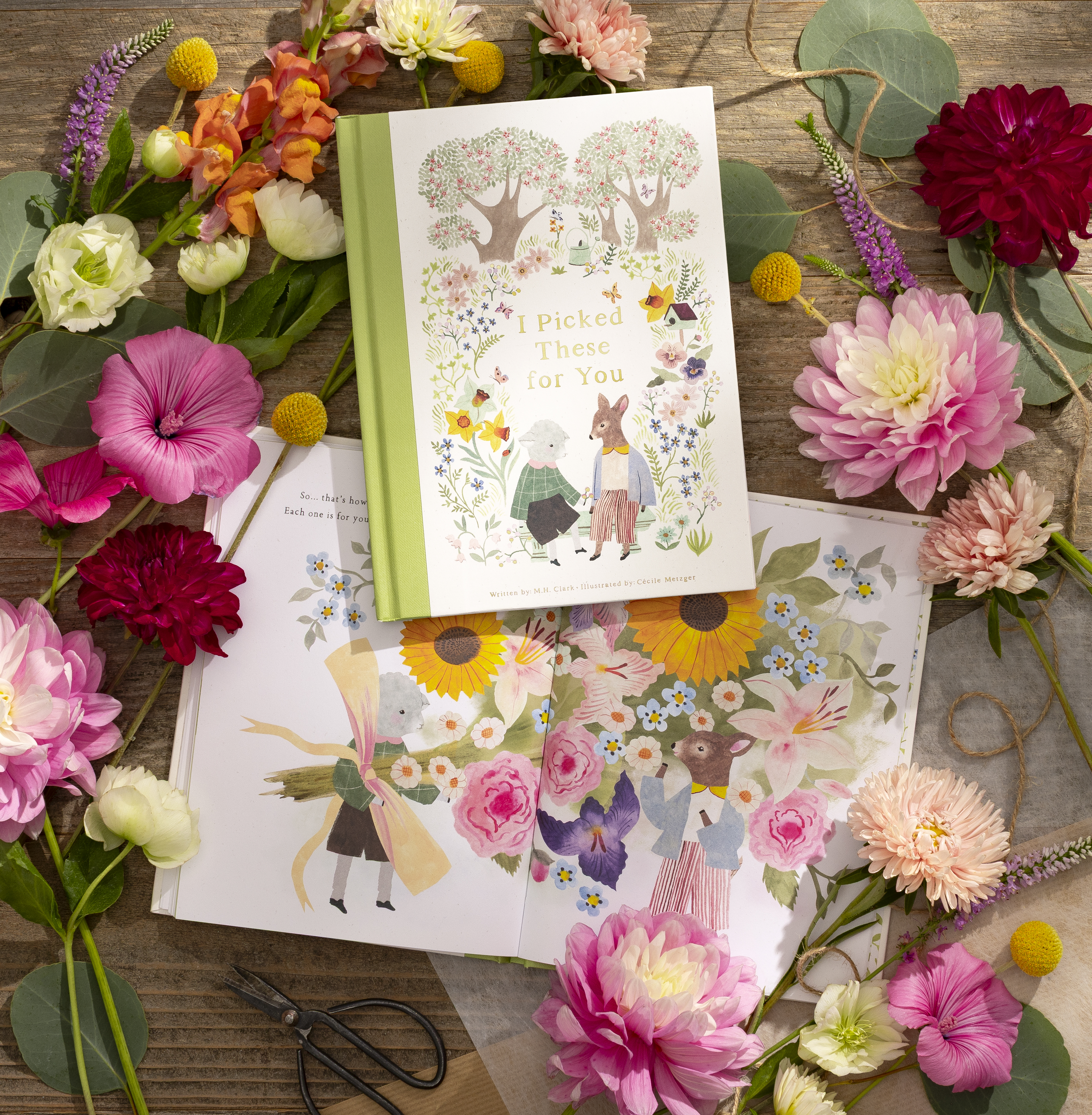 additional book photo