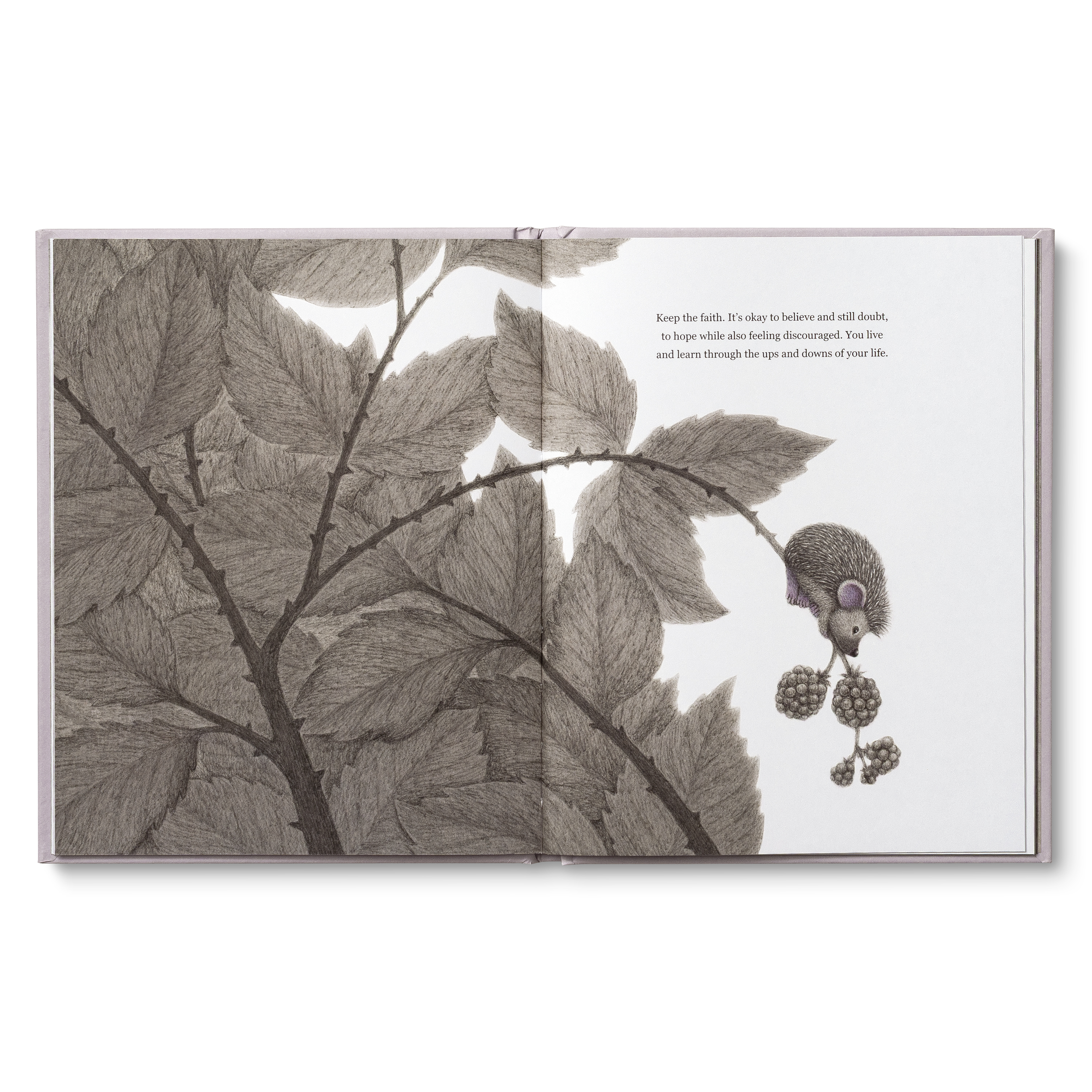 additional book photo