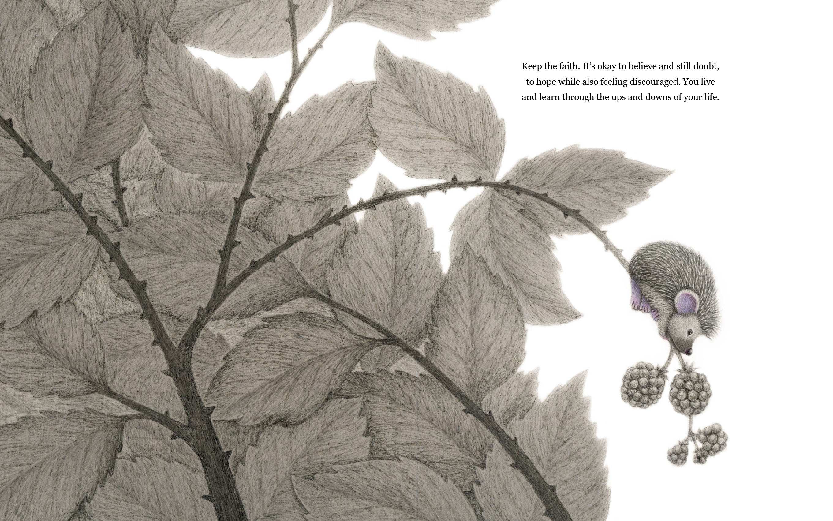 additional book photo