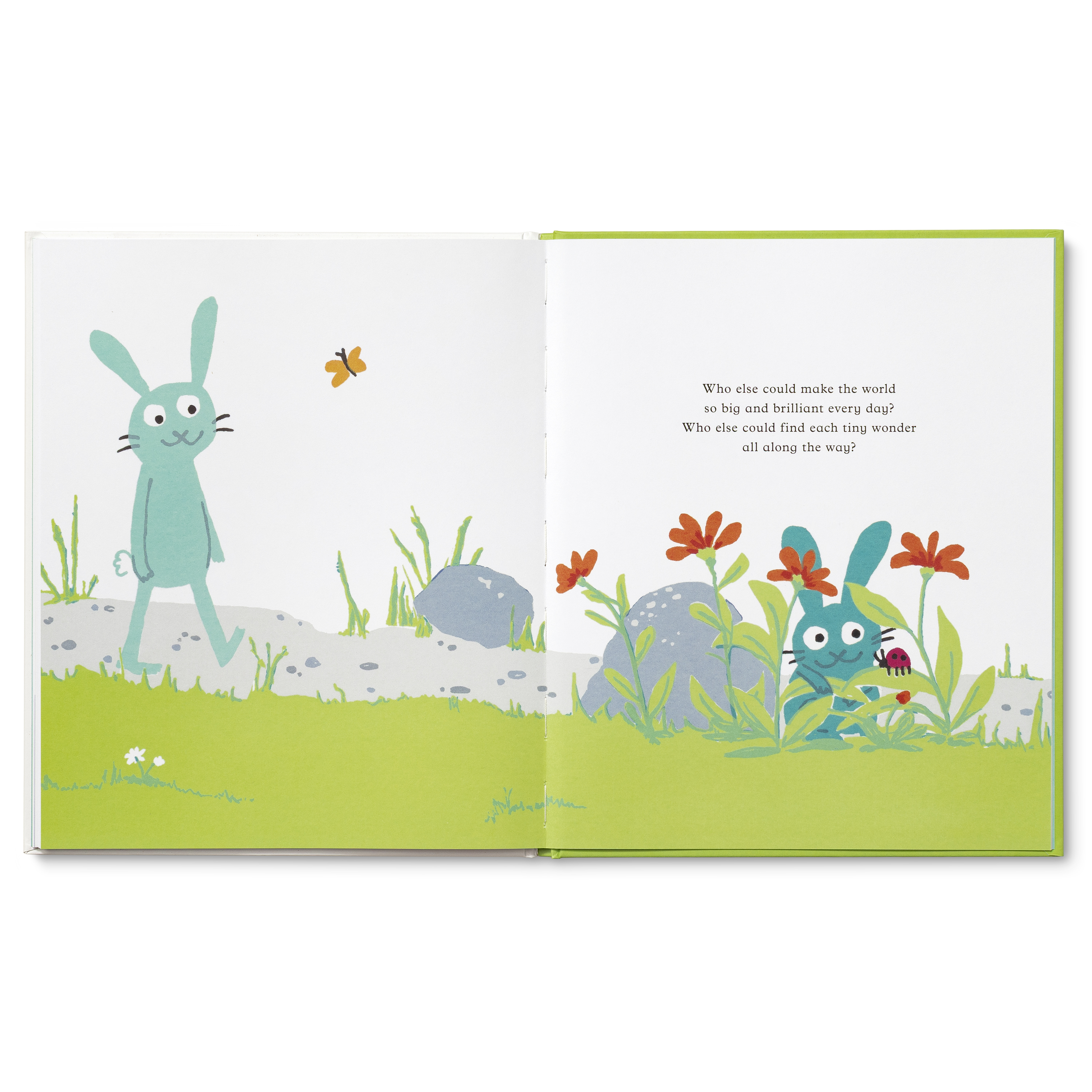 additional book photo