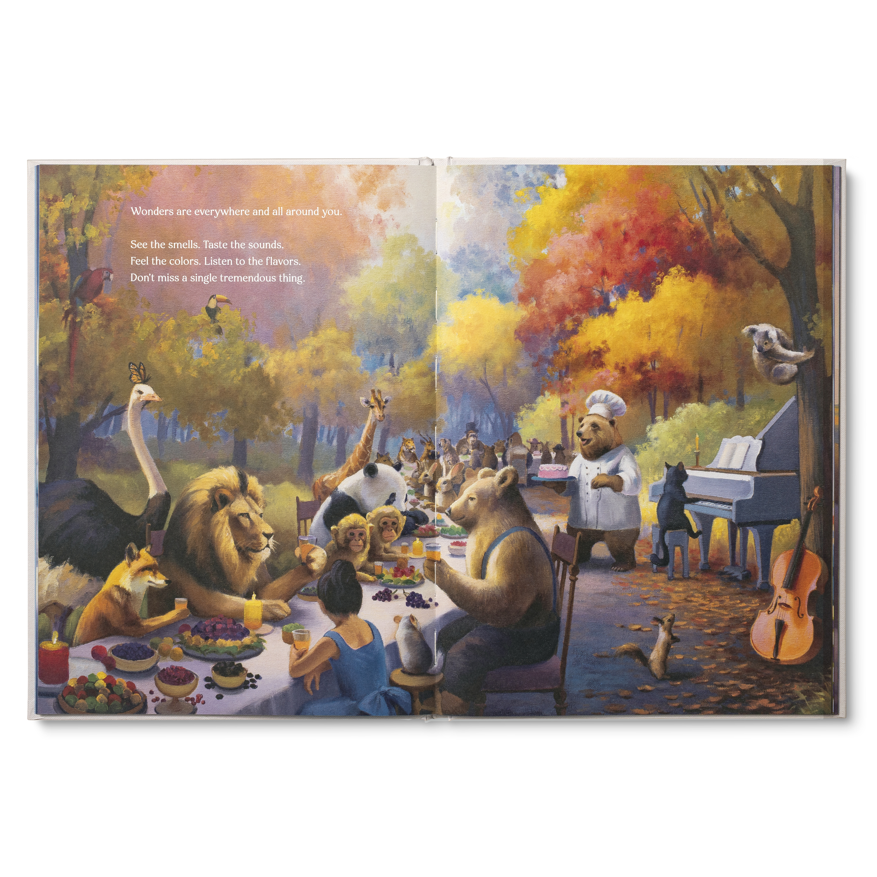 additional book photo